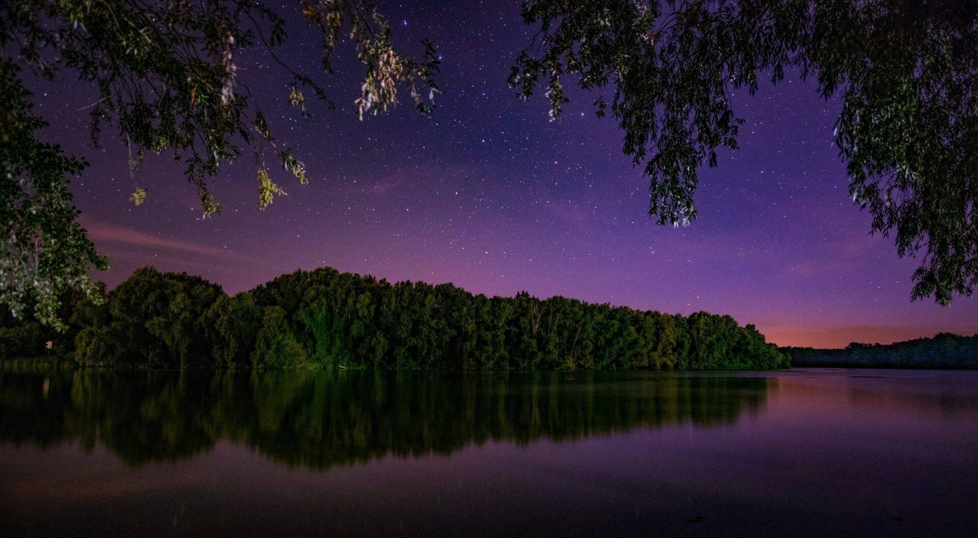 Paesaggio notturno con un lago calmo, una fila di alberi che si riflettono nell’acqua e un cielo stellato color porpora
