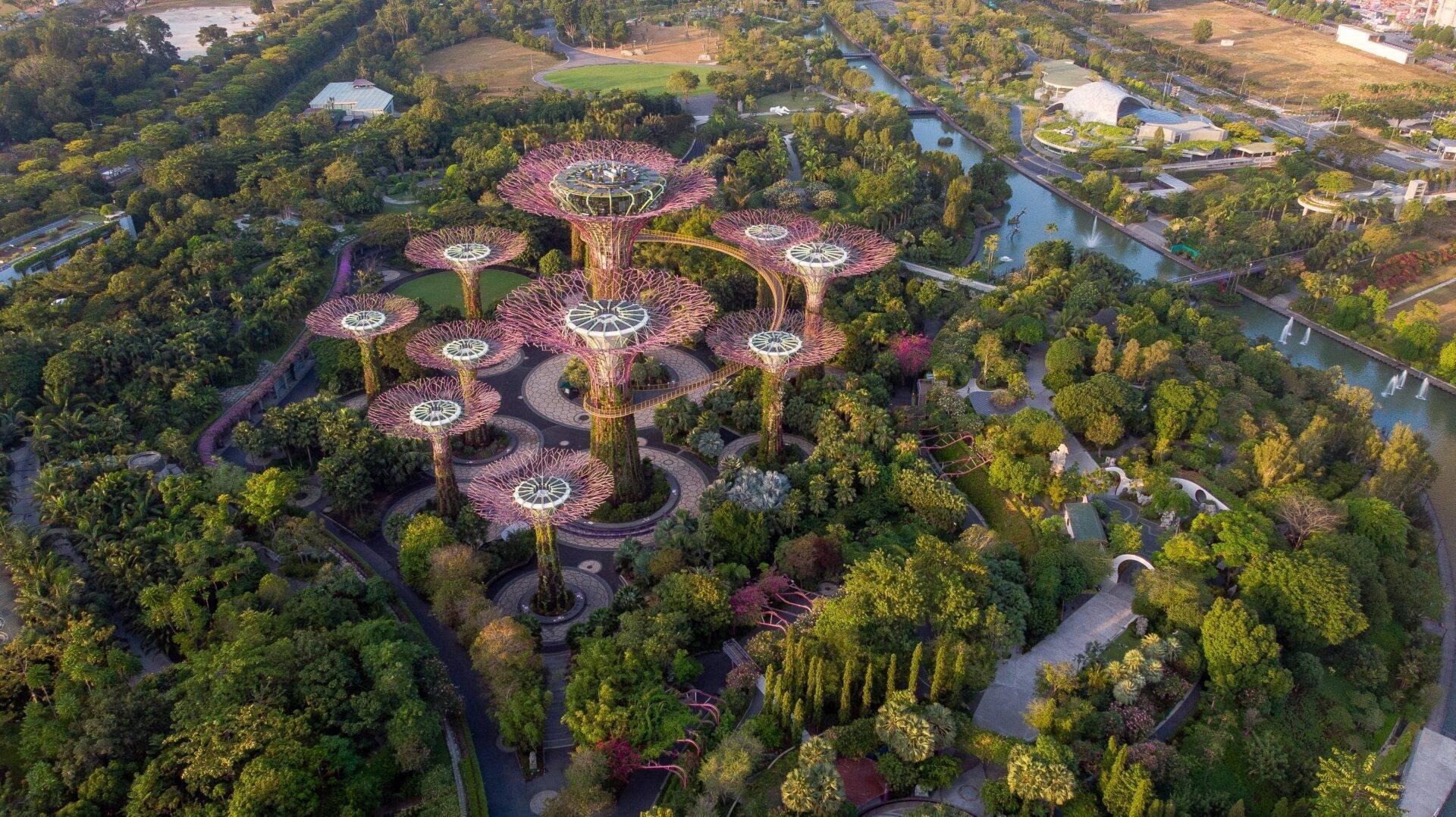 Luftaufnahme eines futuristischen Gartens mit riesigen pinken blütenförmigen Supertrees, umgeben von Grün und durchzogen von Wasserläufen