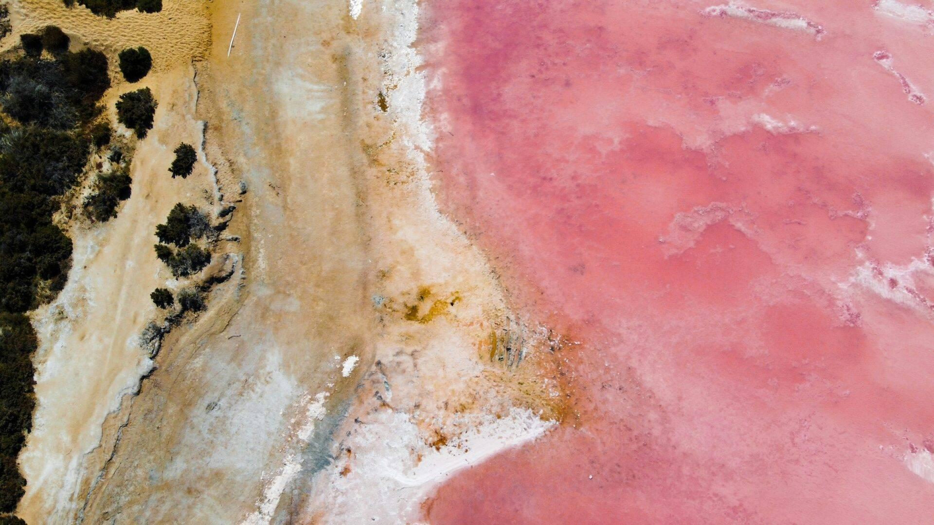 Luftaufnahme eines geothermischen Beckens mit rosafarbenem Wasser, gesäumt von weißen und ockergelben Mineralien