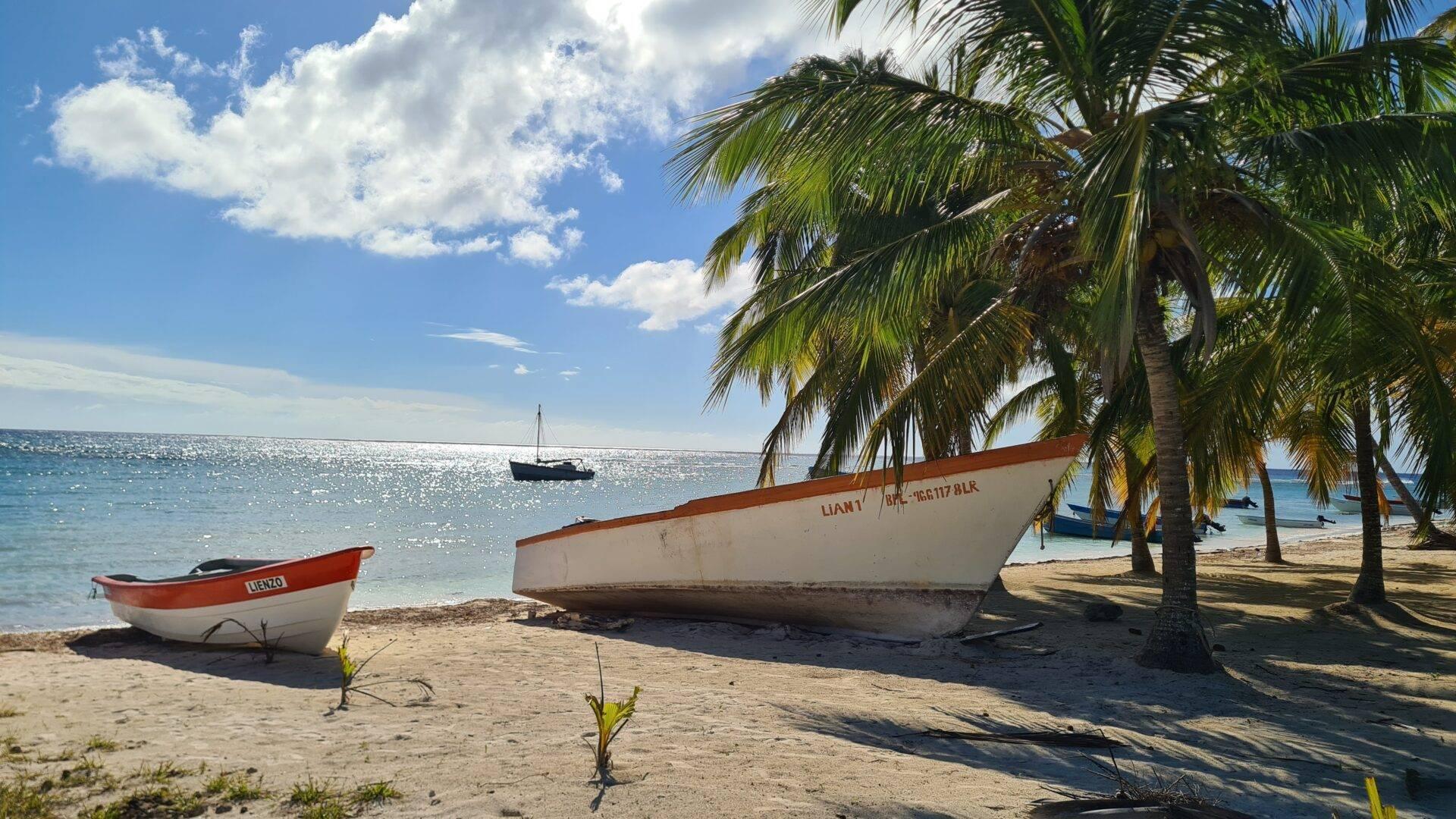 Plage paradisiaque de l’île Saona avec palmiers, sable blanc et eaux turquoise peu profondes