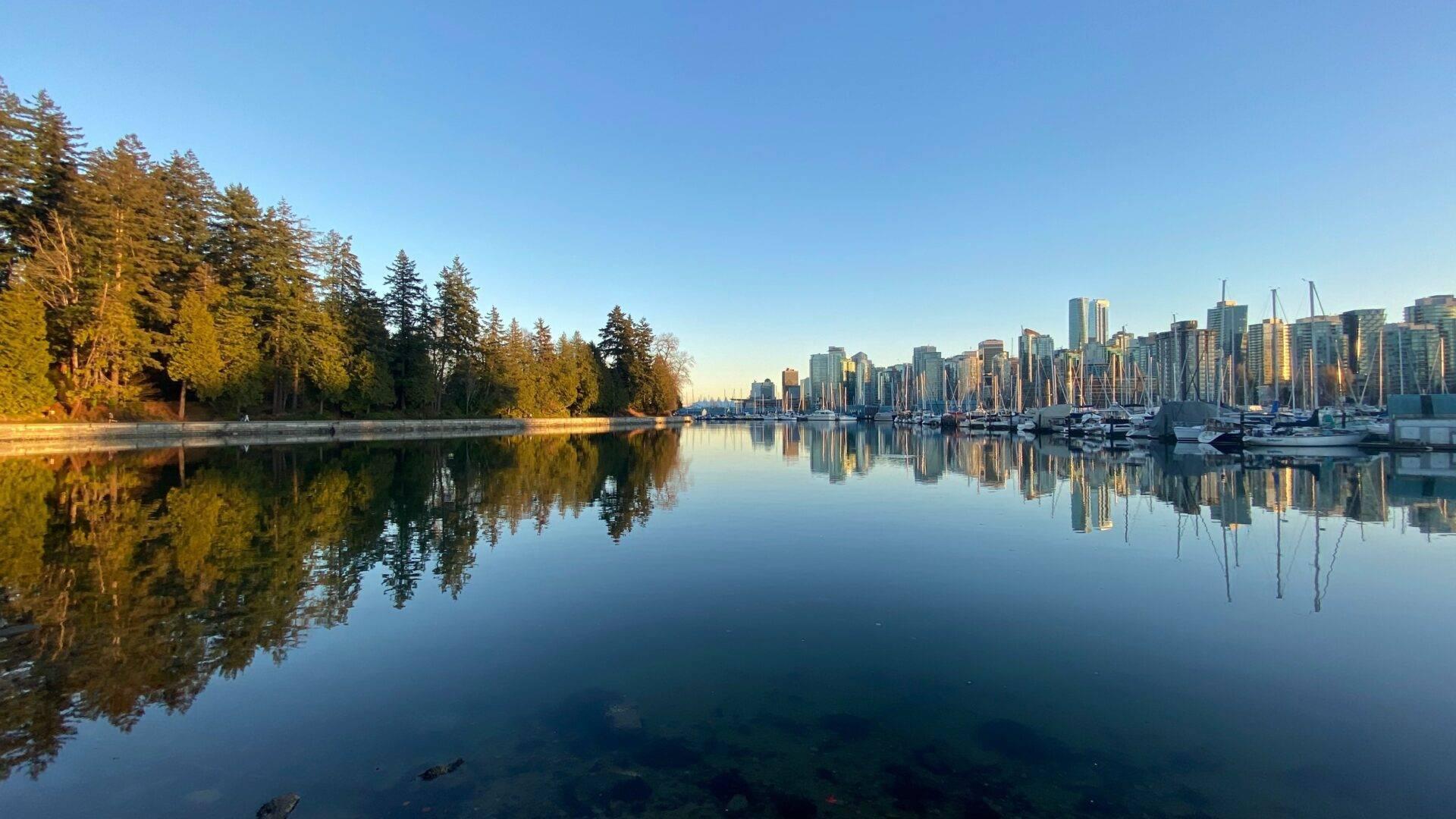 Skyline urbain moderne se reflétant parfaitement dans une baie calme bordée de forêts de conifères dorées