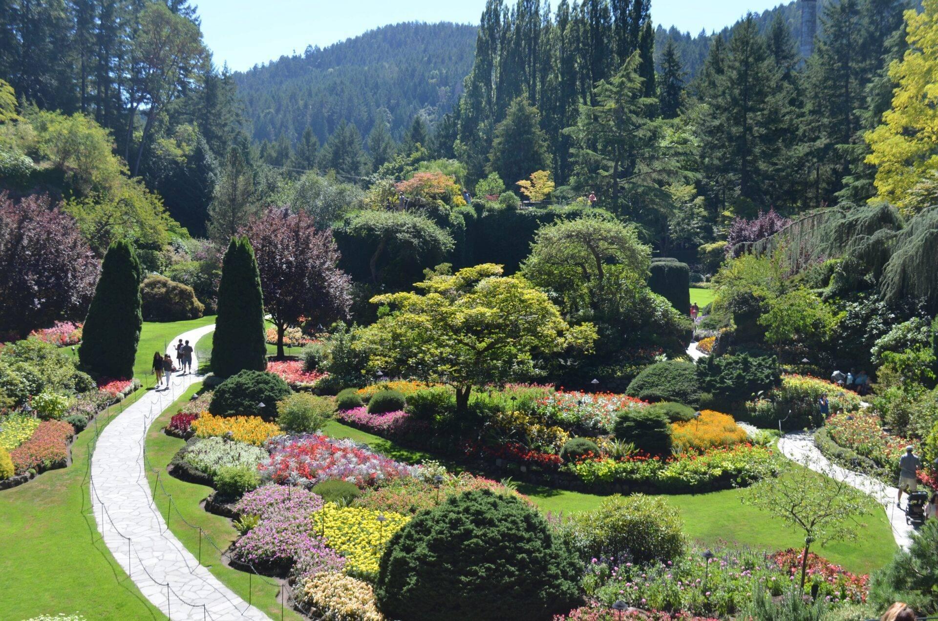 Un jardin botanique vallonné avec parterres fleuris colorés, allées pavées sinueuses et forêt de conifères en arrière-plan