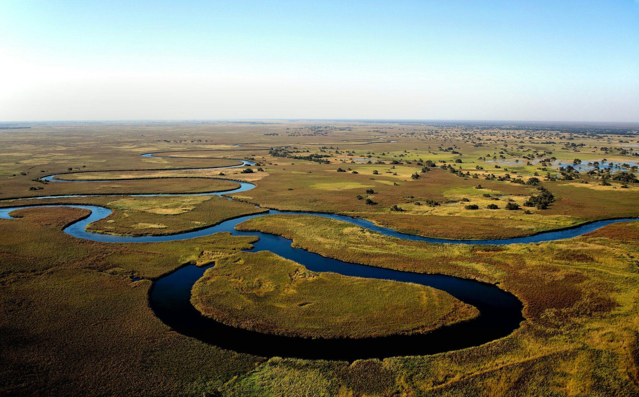 Vue aérienne d’une vaste plaine humide avec rivière sinueuse, arbres parsemés et végétation verdoyante sous ciel dégagé