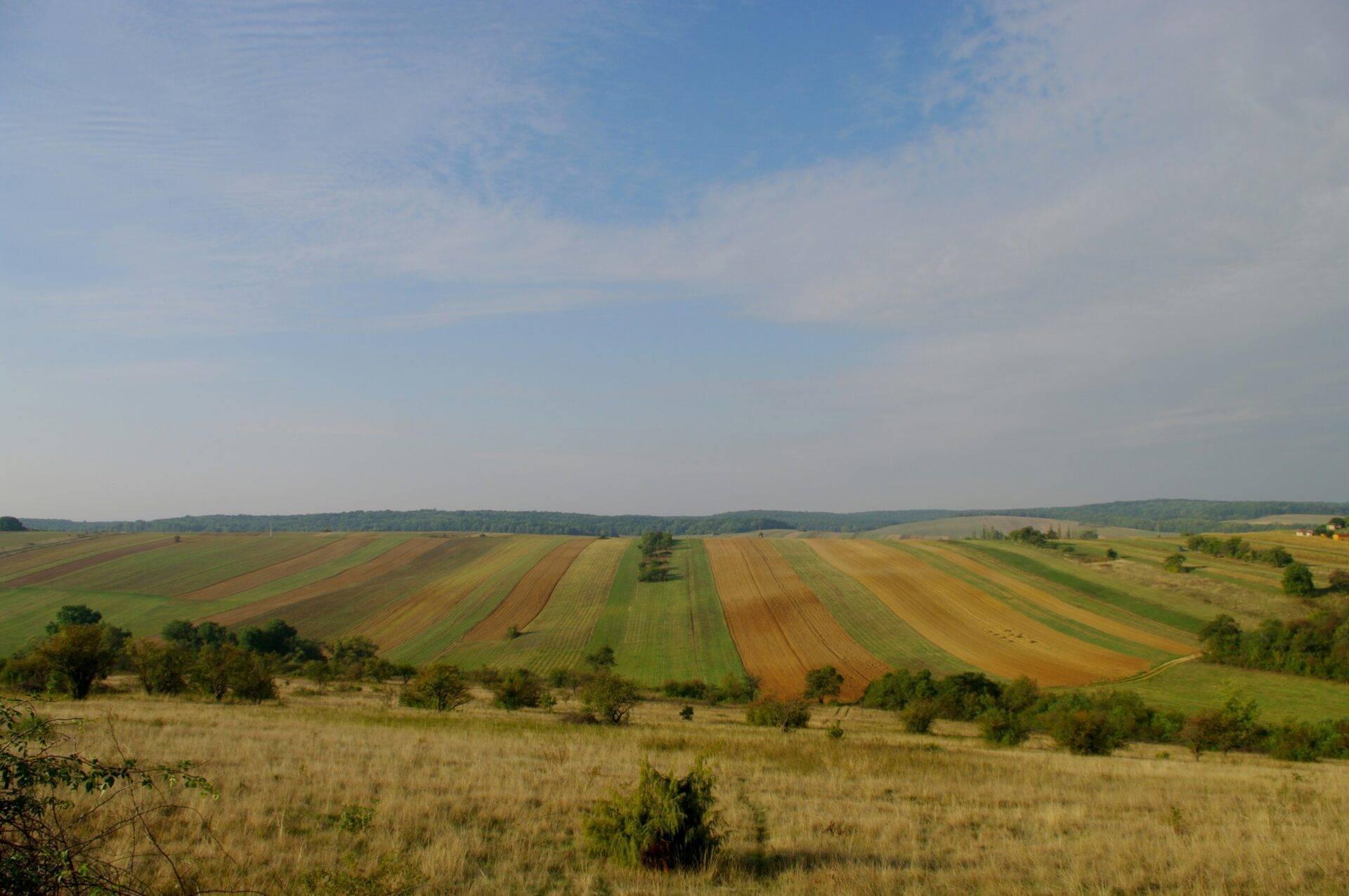 Vasto paesaggio agricolo ondulato con campi coltivati e foreste sotto un cielo sereno in una regione di pianura