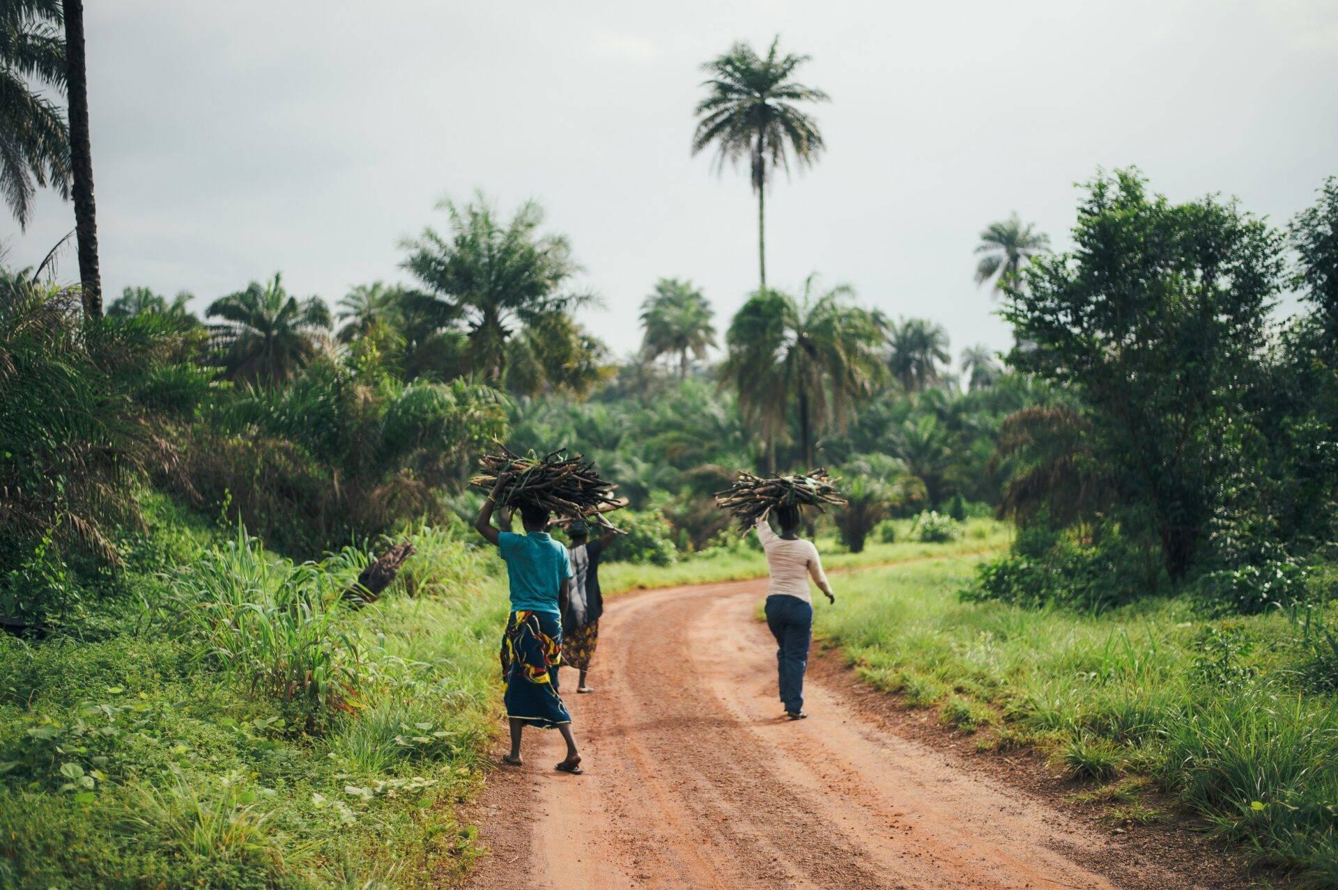 Due donne portano legna camminando su una strada di terra rossa attraverso una savana tropicale con palme