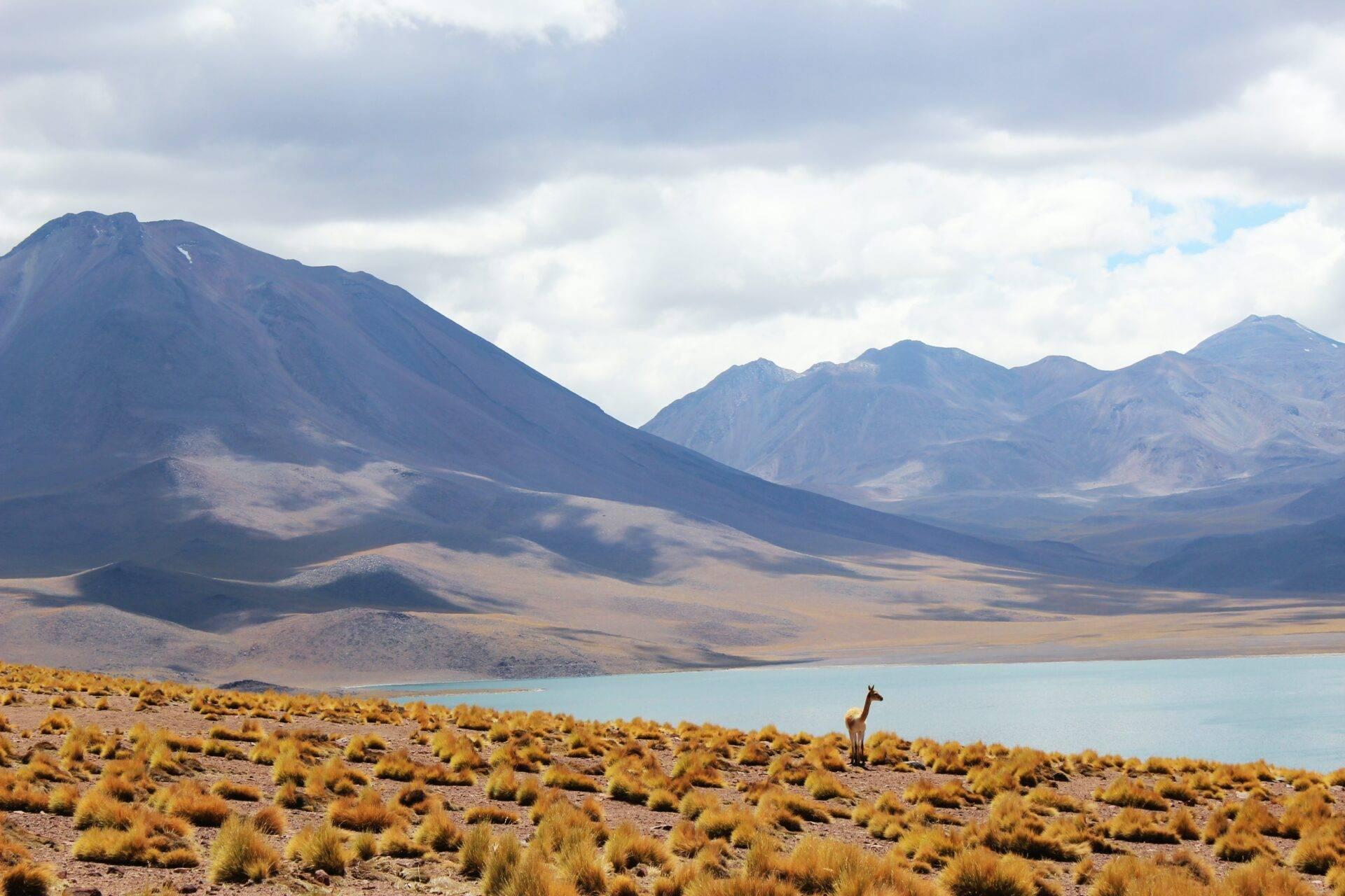 Voyageur face aux Torres del Paine en Patagonie chilienne