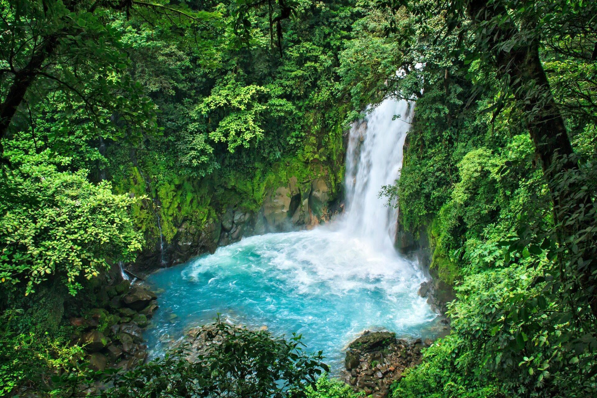 Voyageur face à un paysage tropical au Costa Rica