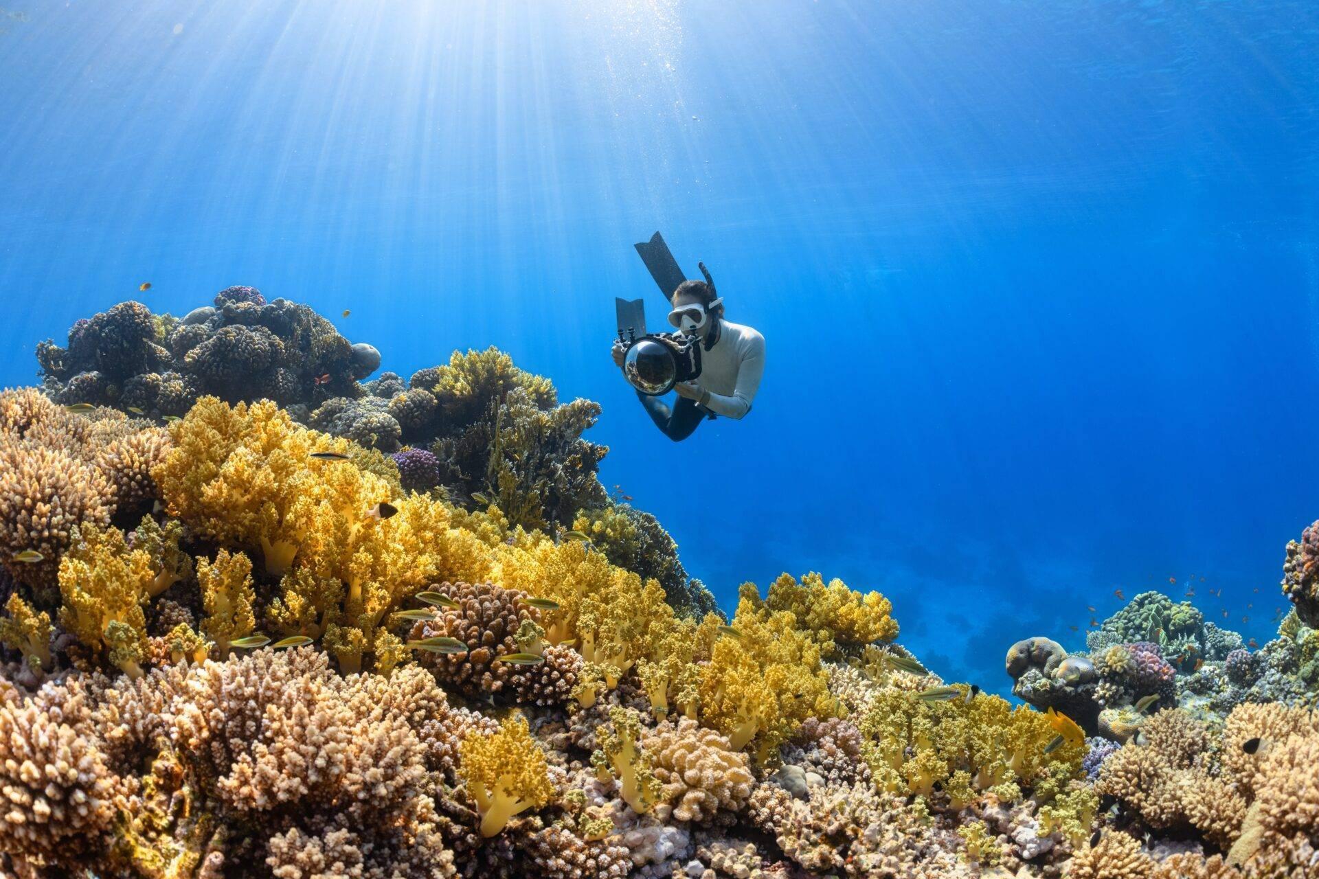 Un sub in attrezzatura completa fotografa una barriera corallina colorata nelle acque cristalline
