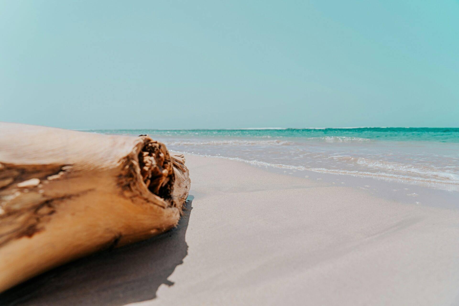 Plage de sable doré de Juan Dolio avec transats à l’ombre des palmiers face à la mer des Caraïbes