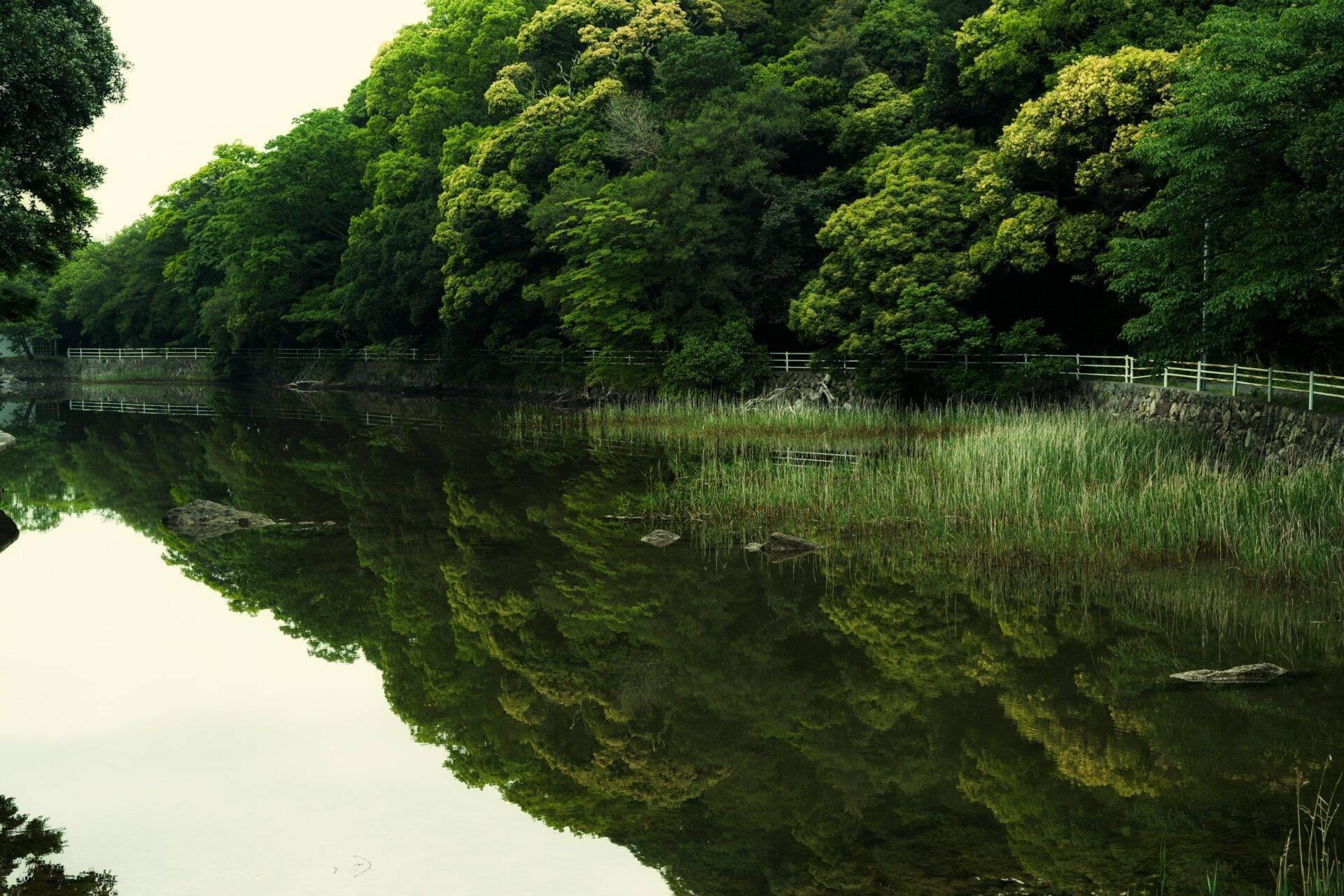Un paysage naturel tranquille avec un lac miroir entouré de forêts denses et de clôtures blanches