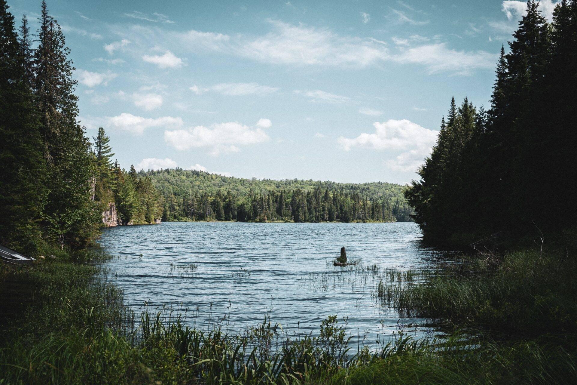 Vue panoramique d’un lac forestier entouré de conifères avec un canoé et ciel dégagé