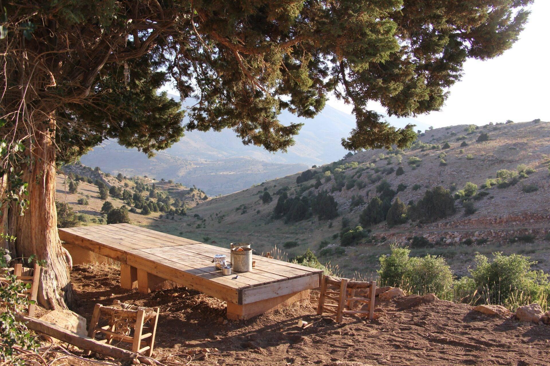 Un banc en bois face à une vallée montagneuse méditerranéenne, sous le feuillage d’un grand cèdre