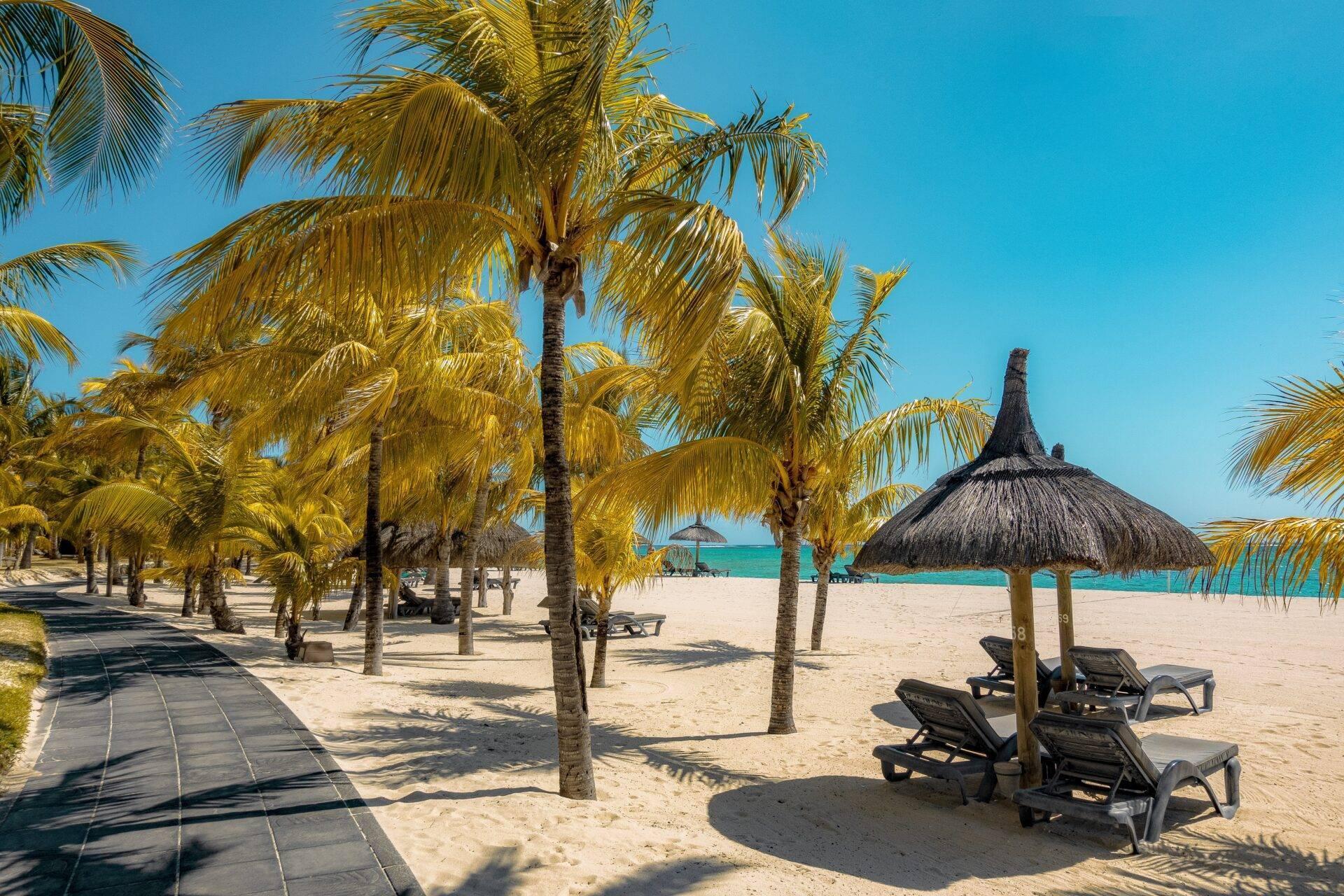 Tropischer Strand mit Palmen, Liegestühlen, Strohdach-Sonnenschirm und türkisem Lagunengewässer unter blauem Himmel
