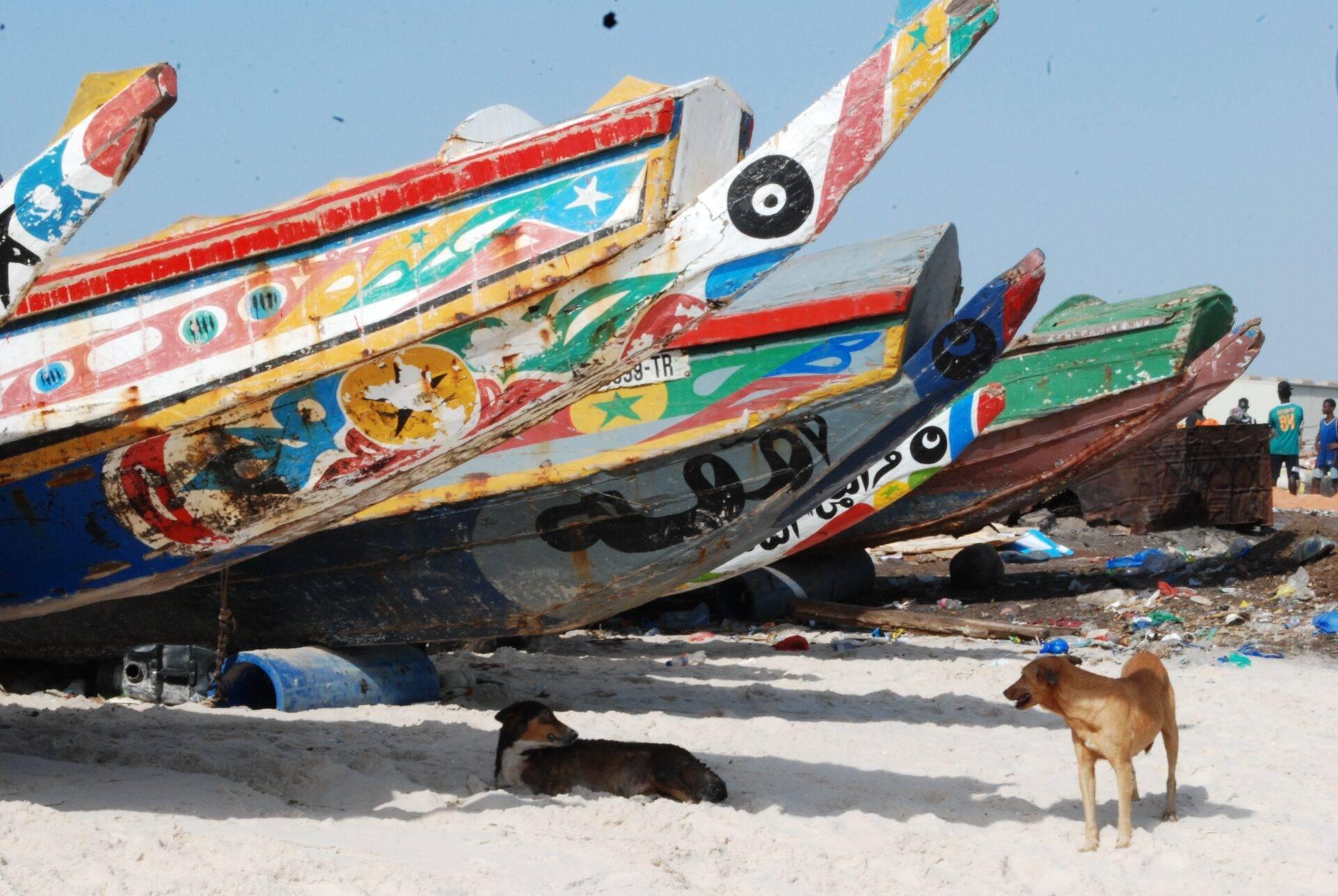 Voyageur face à l'océan Atlantique sur la côte sénégalaise, bagage à la main