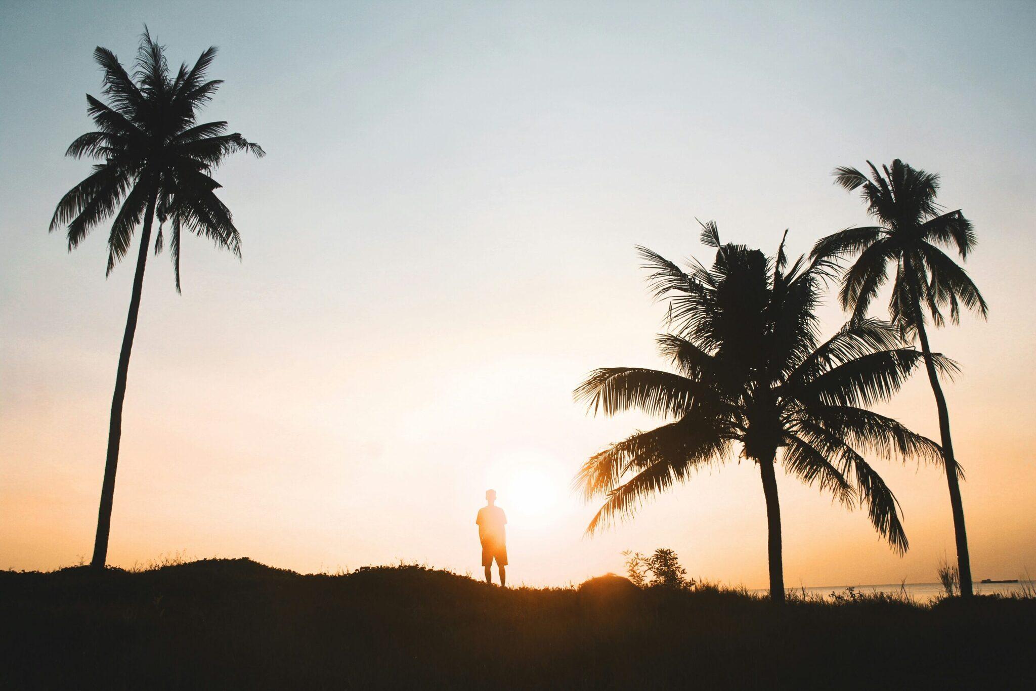 Silhouette d’un homme au coucher de soleil entouré de palmiers dans un paysage tropical côtier