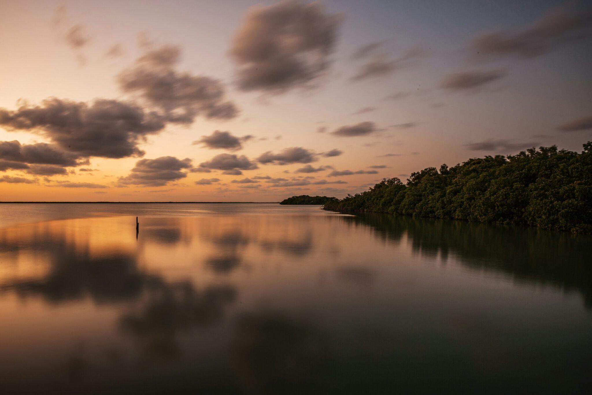 Tramonto su una baia tranquilla con mangrovie fitte rispecchiate nell’acqua come in uno specchio