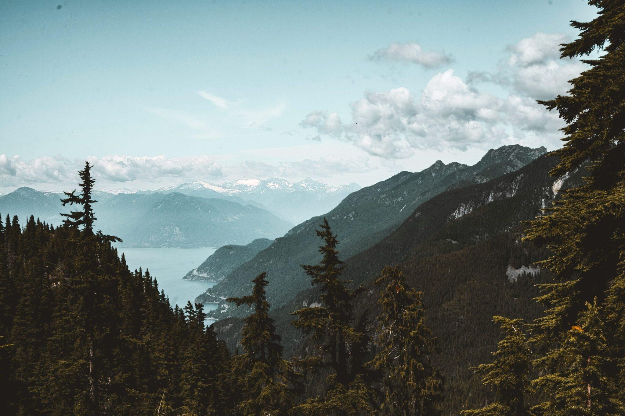 Panoramablick auf ein Alpental mit Bergsee, Nadelwäldern und schneebedeckten Gipfeln im Hintergrund
