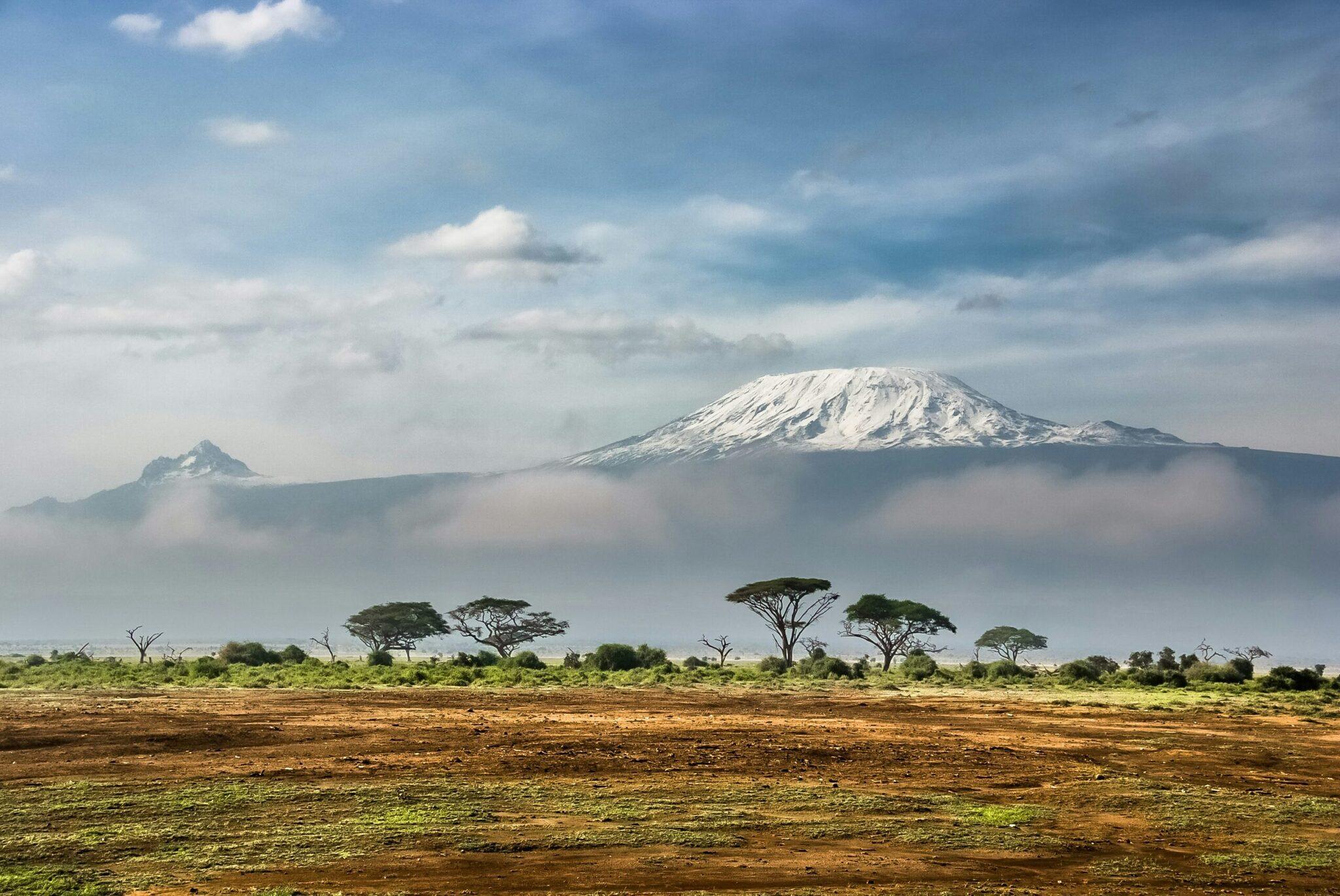 Vue panoramique d’un volcan enneigé dominant une savane avec acacias et brume matinale
