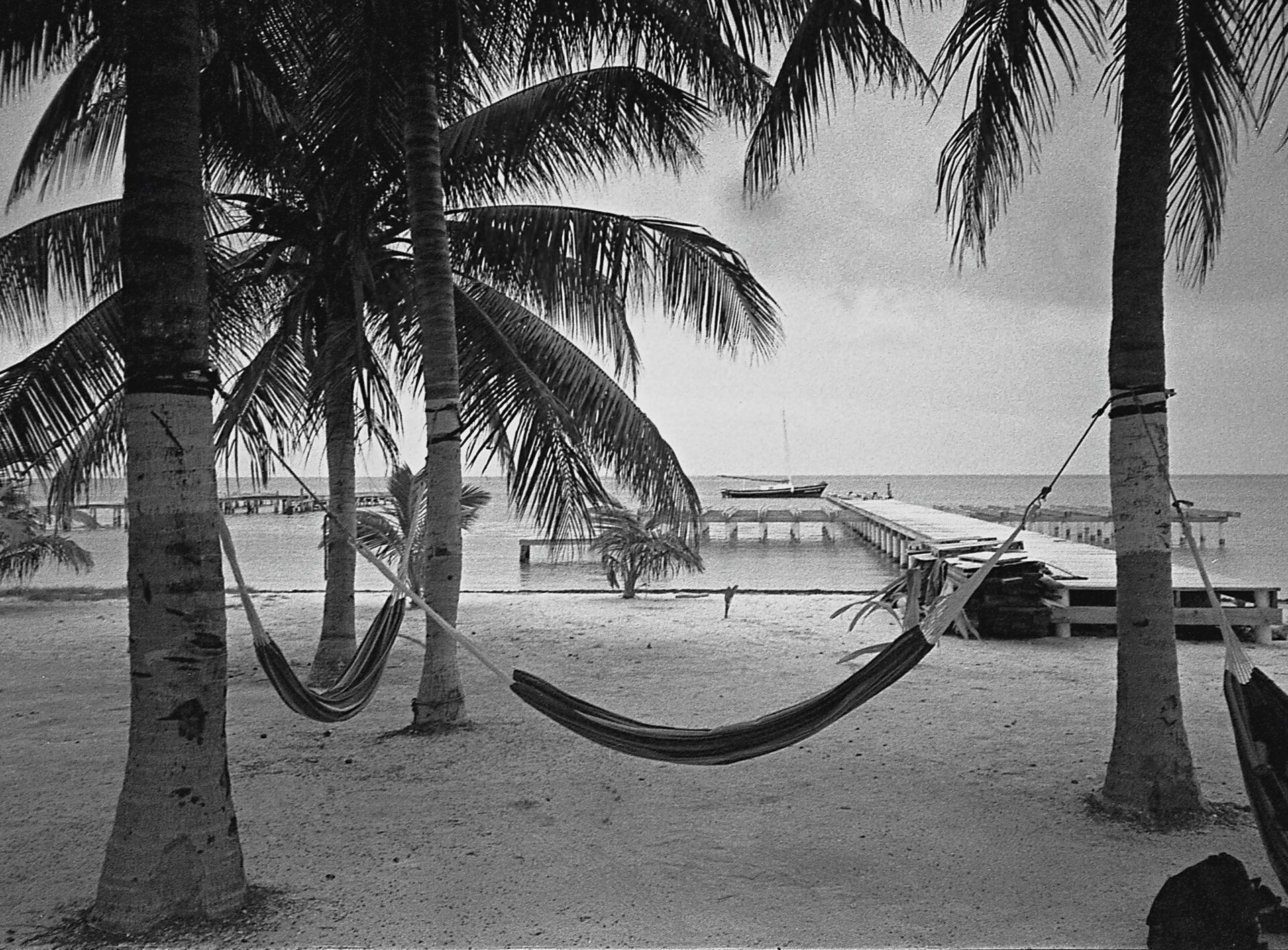 Îlot tropical de Cayo Levantado avec plage de sable blanc et palmiers dans la baie de Samaná