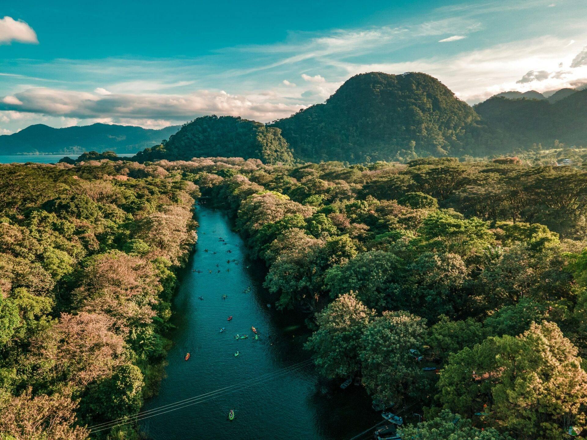 Côte caraïbe du Honduras avec palmiers et eaux turquoise, destination de voyage
