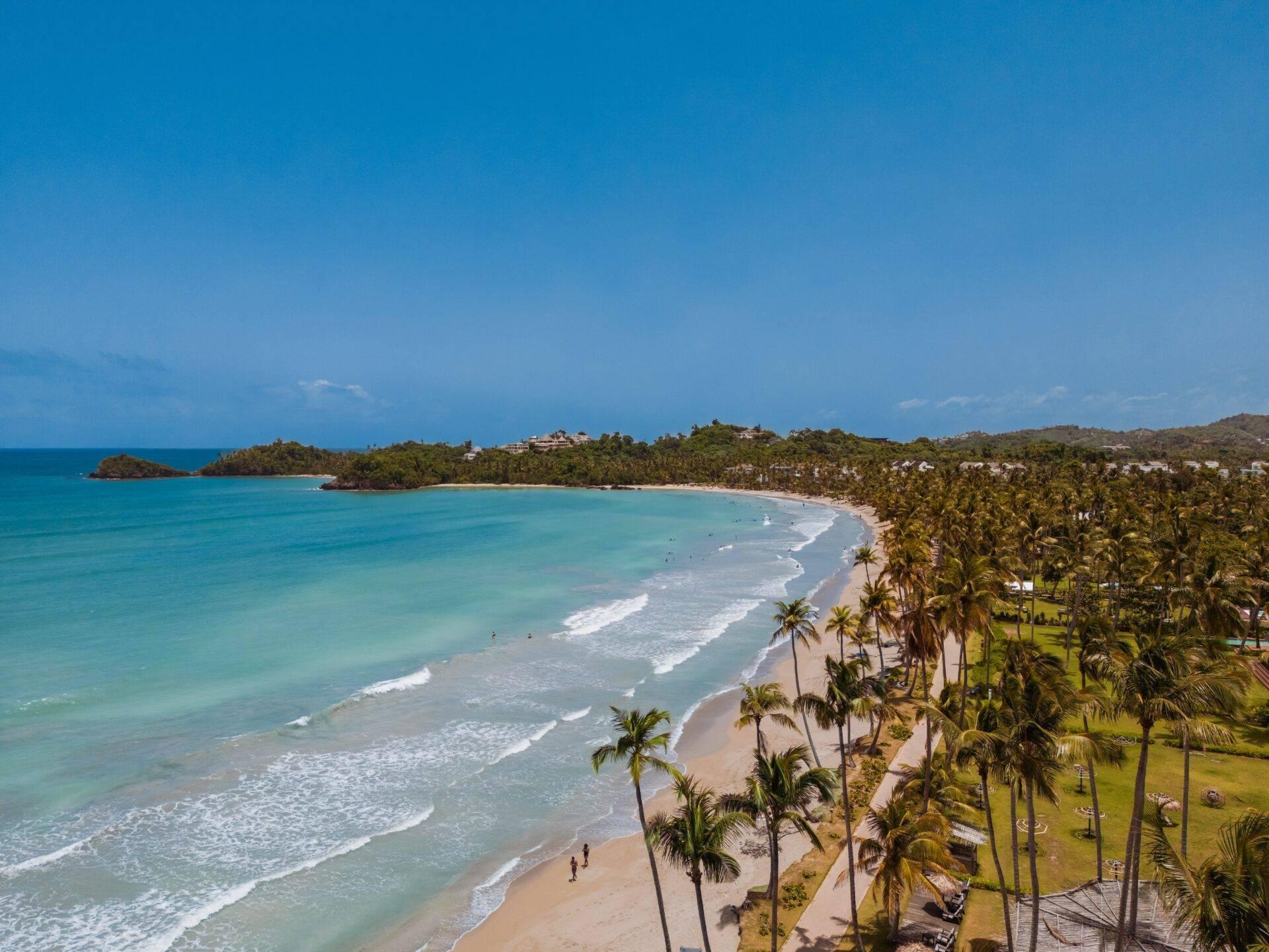 Plage de sable blanc en République Dominicaine, palmiers et mer turquoise