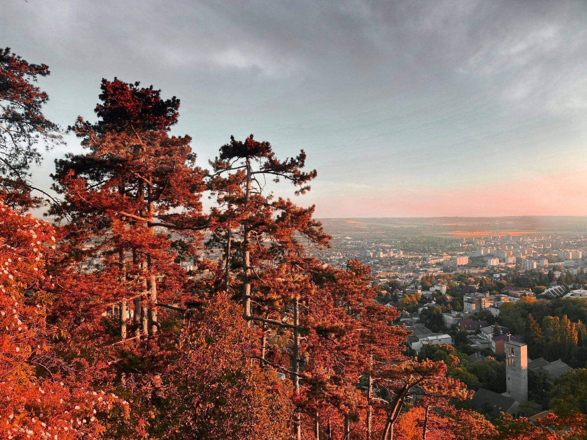 Vista panoramica di una città da una collina boscosa con fogliame rosso autunnale al tramonto
