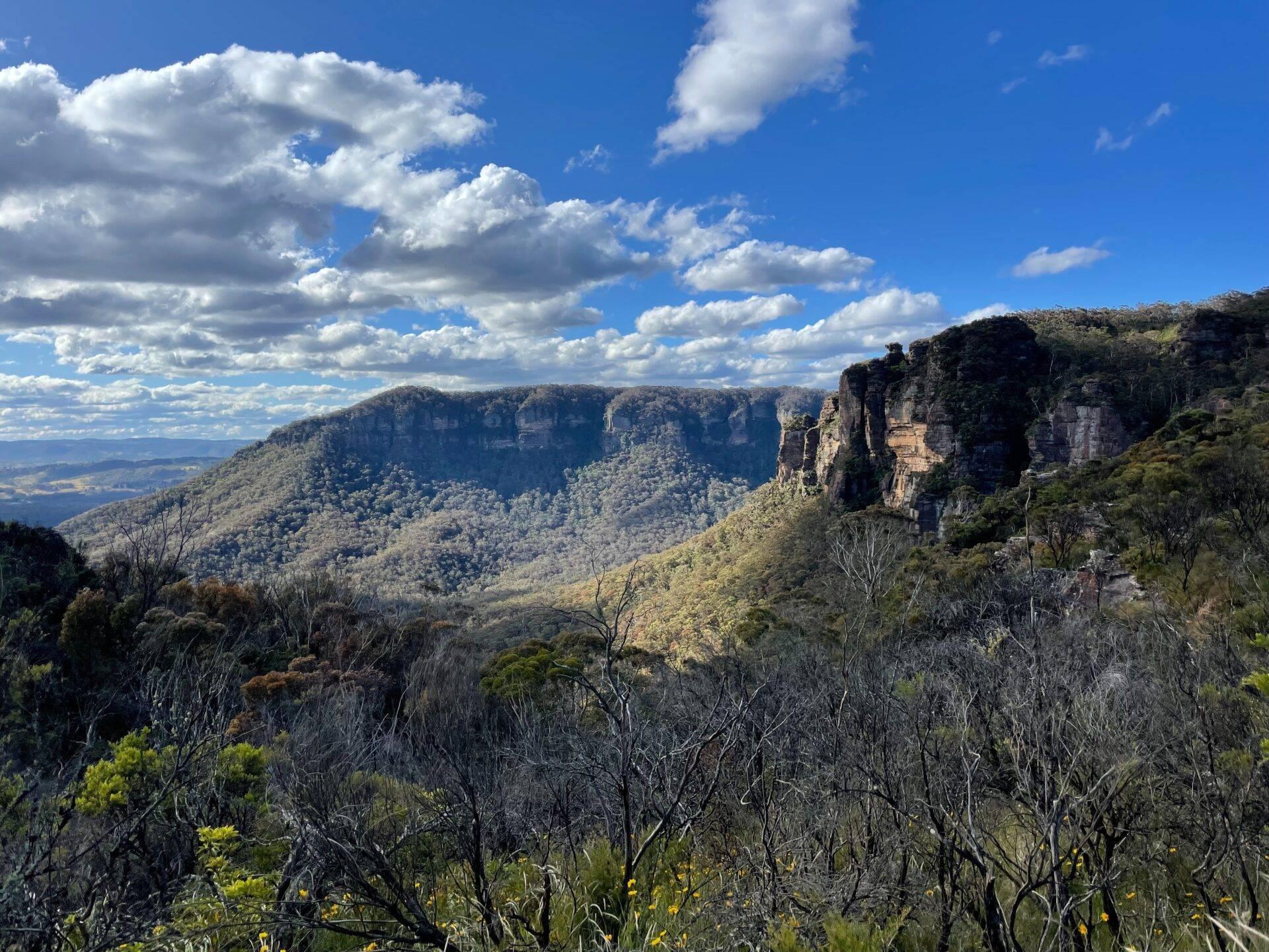 Vista panorámica de un valle encajonado con acantilados majestuosos cubiertos de vegetación densa bajo un cielo azul despejado