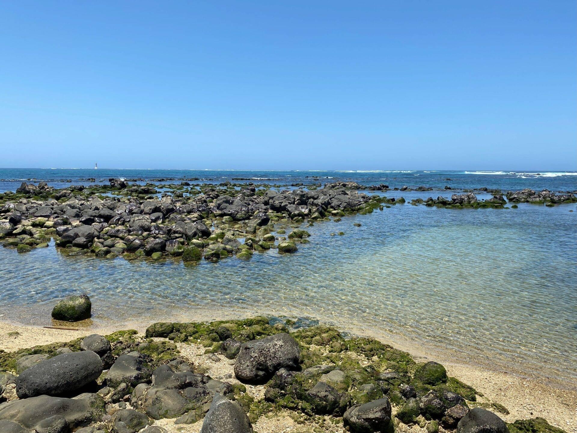 Spiaggia rocciosa con sabbia bianca e alghe verdi sotto un cielo azzurro terso sul bordo del mare