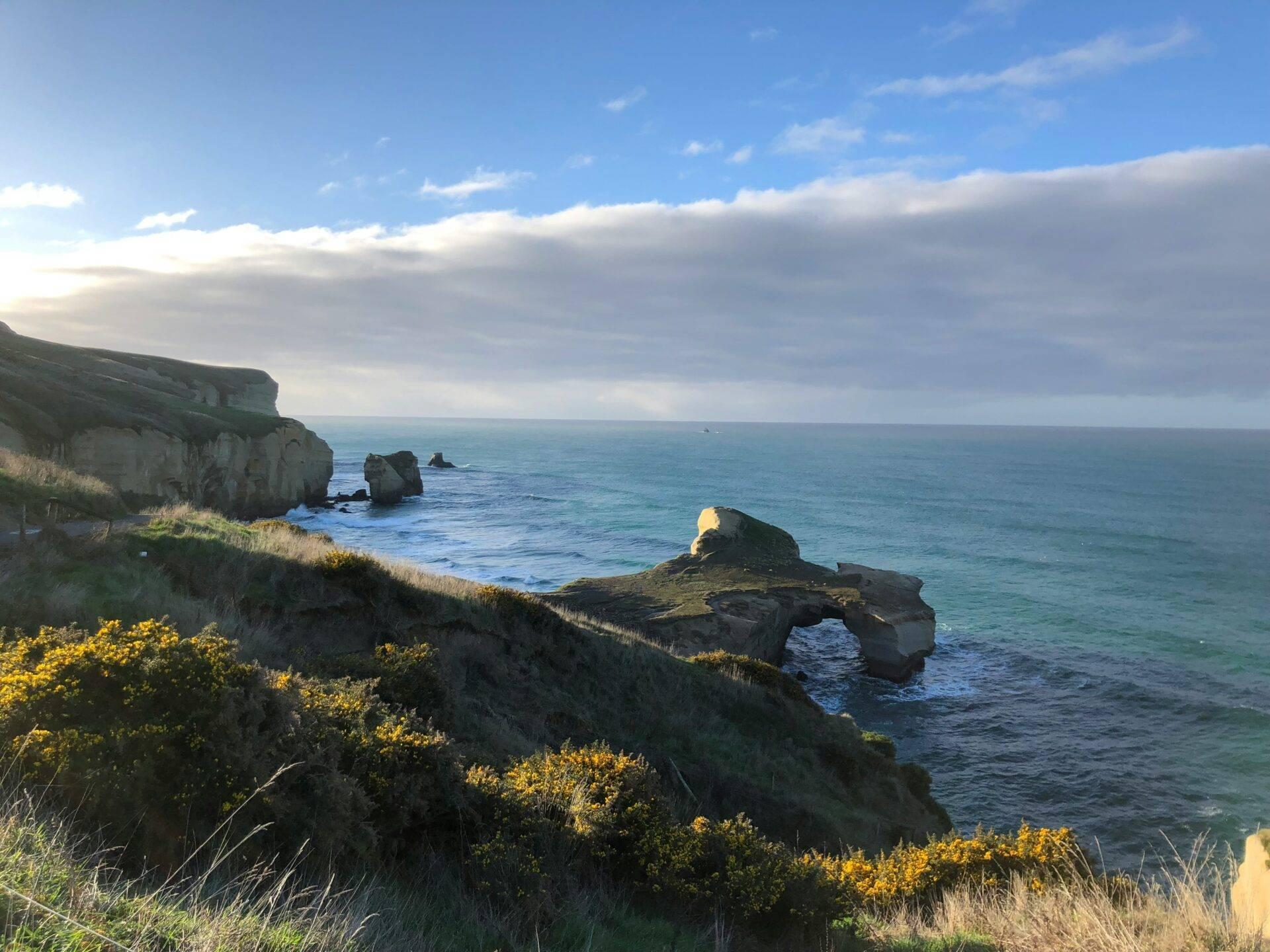 Falaise côtière rocheuse avec arche naturelle en pierre et fleurs jaunes au coucher du soleil