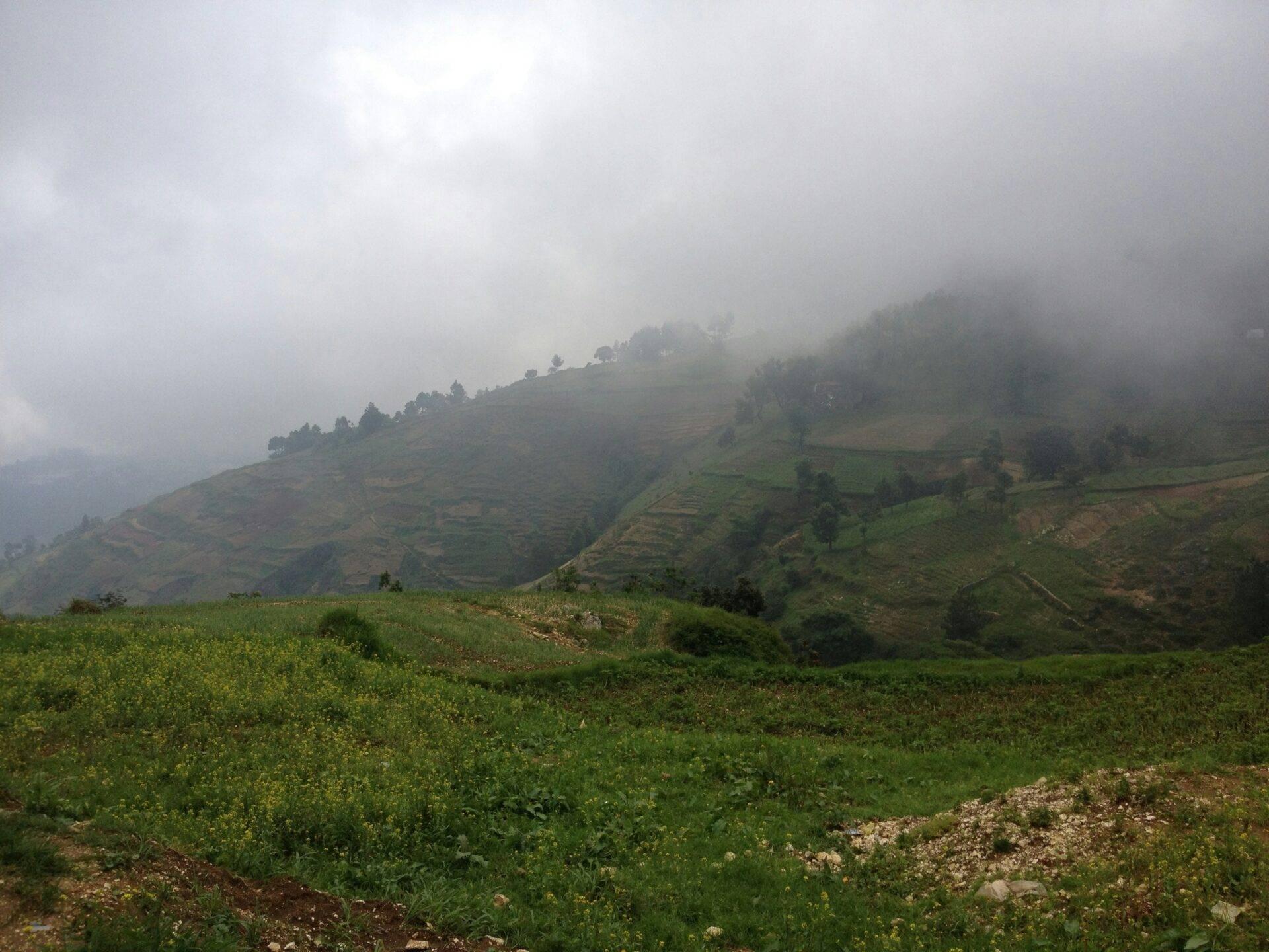 Paesaggio montuoso nebbioso con terrazze agricole verdeggianti e fitta nebbia che avvolge le colline
