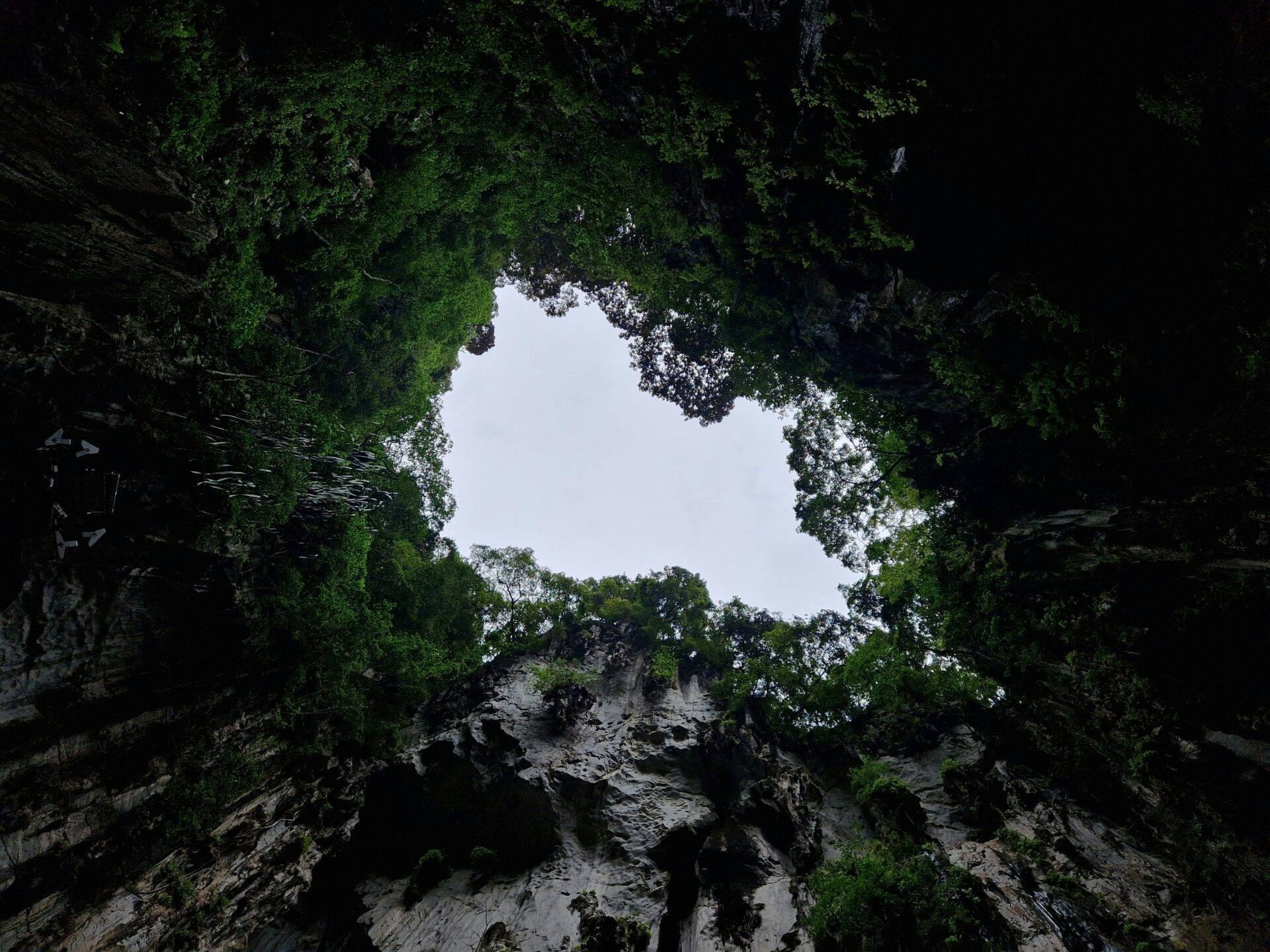 Vista dal fondo di un abisso roccioso ricoperto di vegetazione lussureggiante, con lo sguardo verso il cielo