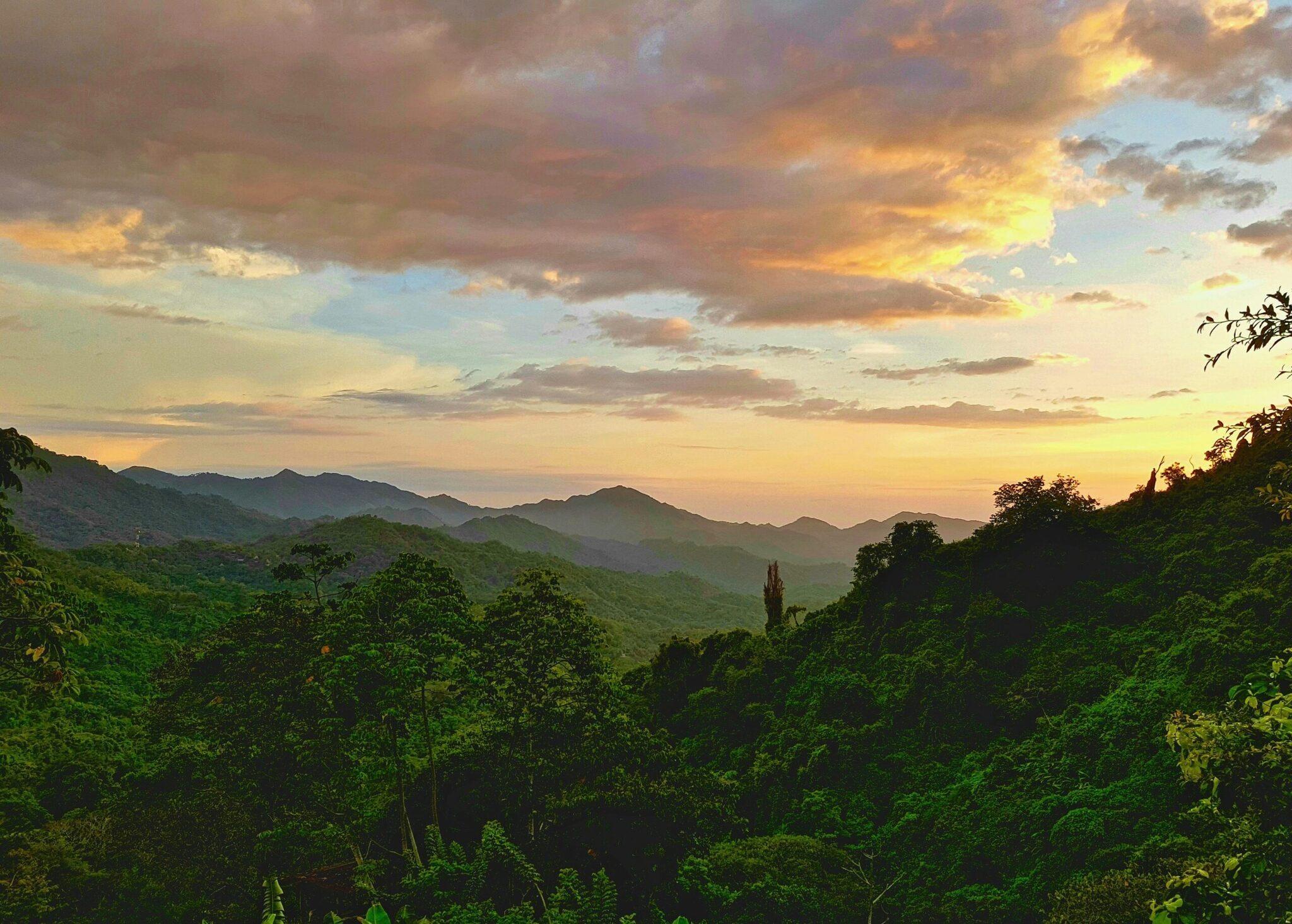 Coucher de soleil sur une vallée montagneuse densément boisée avec un ciel doré et nuageux