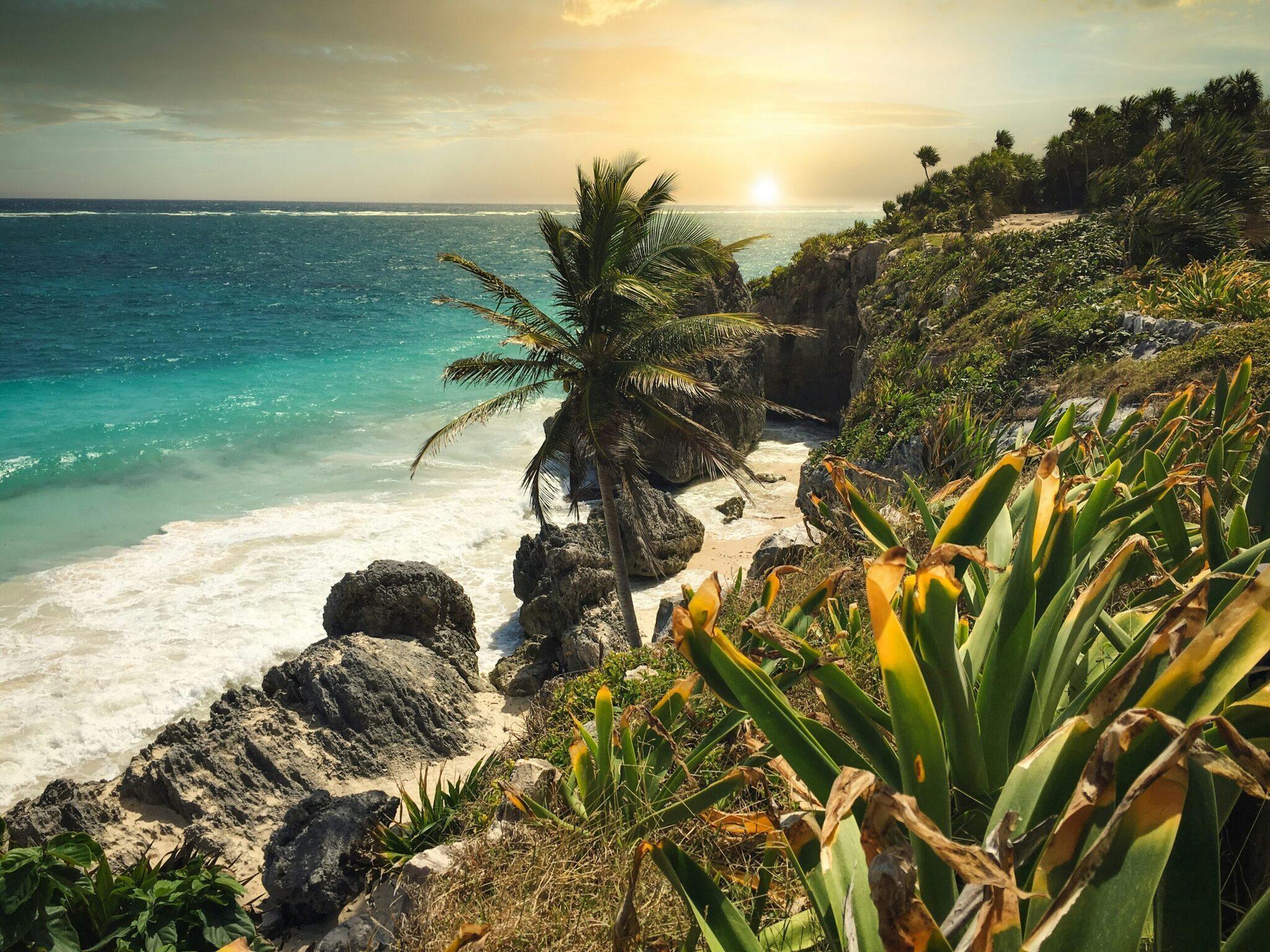 Falaise côtière tropicale avec plage turquoise, palmiers et végétation verdoyante au coucher de soleil