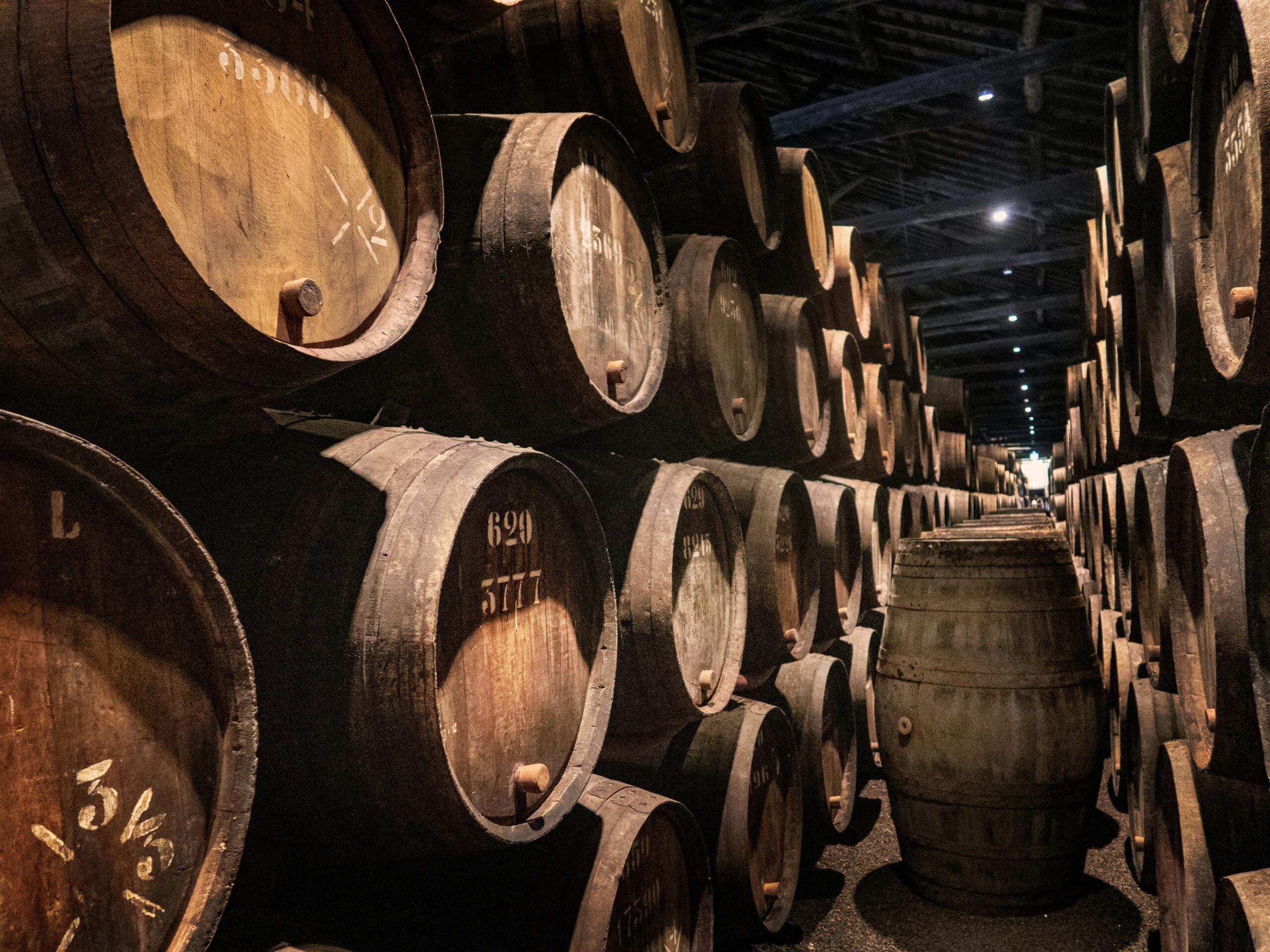 Rows of wooden wine barrels stacked in an illuminated underground cellar, with numbers carved into the wood