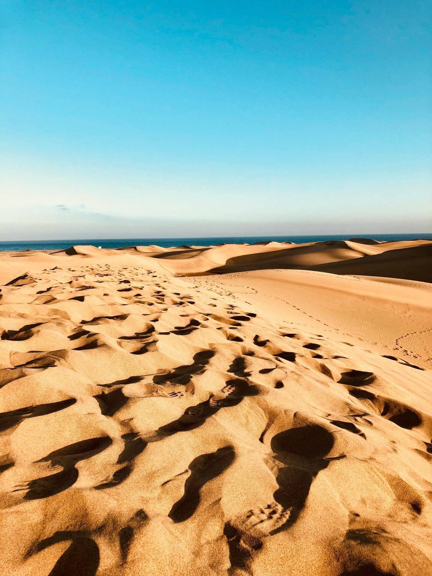 Dune di sabbia ondulate affacciate sull’oceano sotto un cielo azzurro limpido, con ombre marcate al suolo