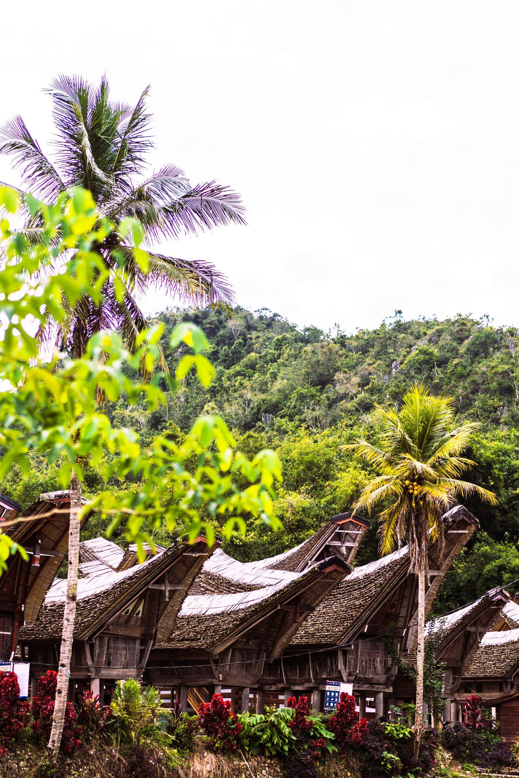 Maisons traditionnelles au toit pointu dans une vallée verdoyante d’Indonésie, entourées de palmiers et de jungle