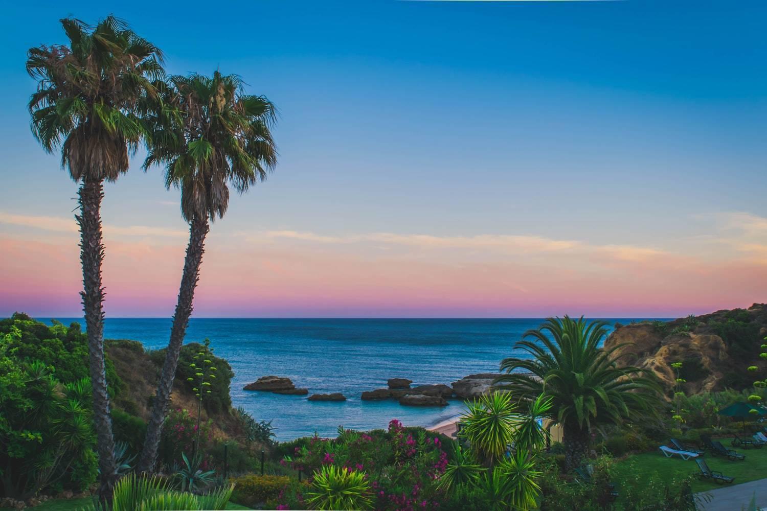Vue côtière méditerranéenne avec palmiers, rochers et plage au coucher du soleil, végétation tropicale en premier plan