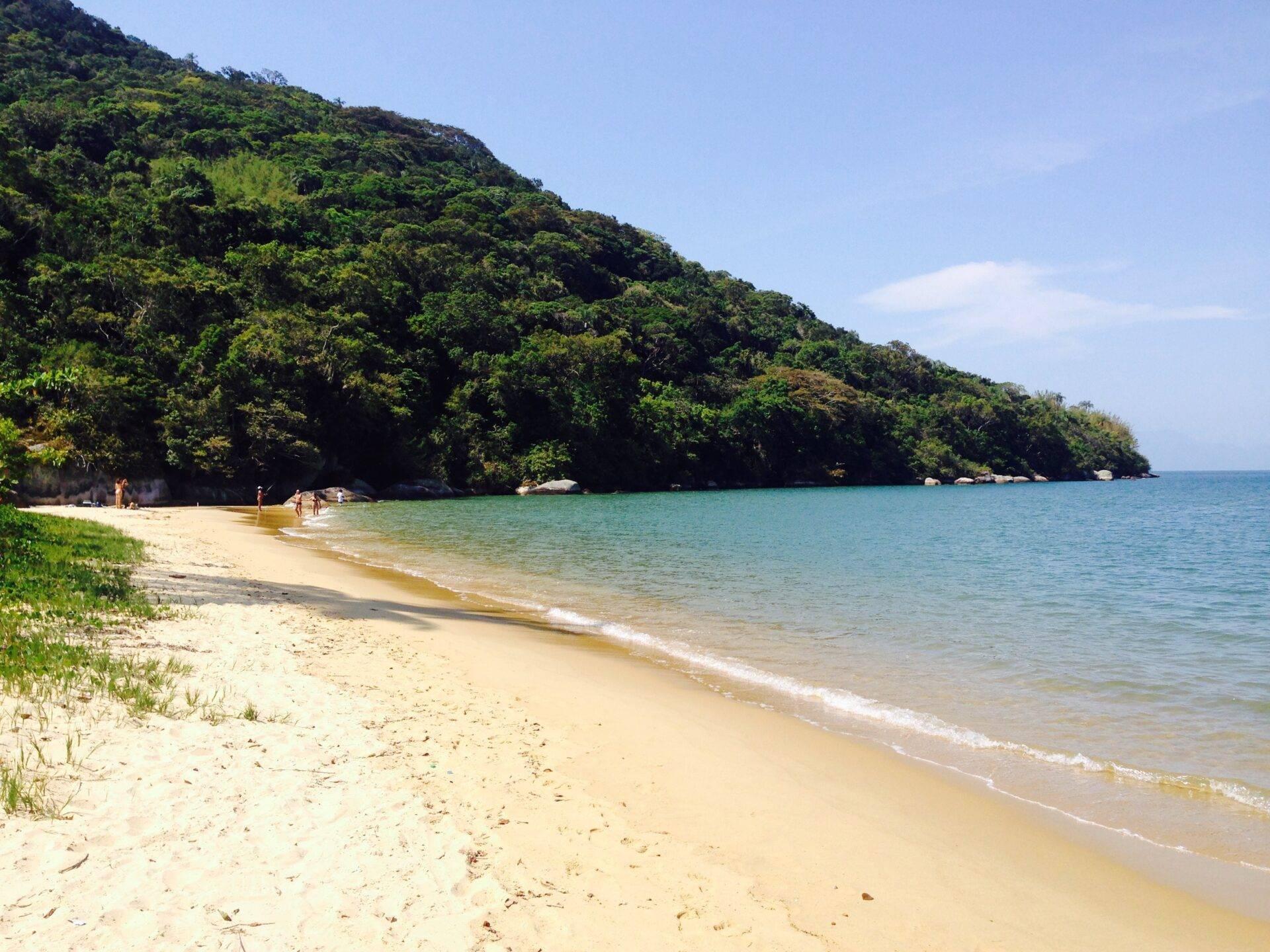 Une plage de sable blanc bordée d’une forêt tropicale dense avec des eaux turquoise cristallines