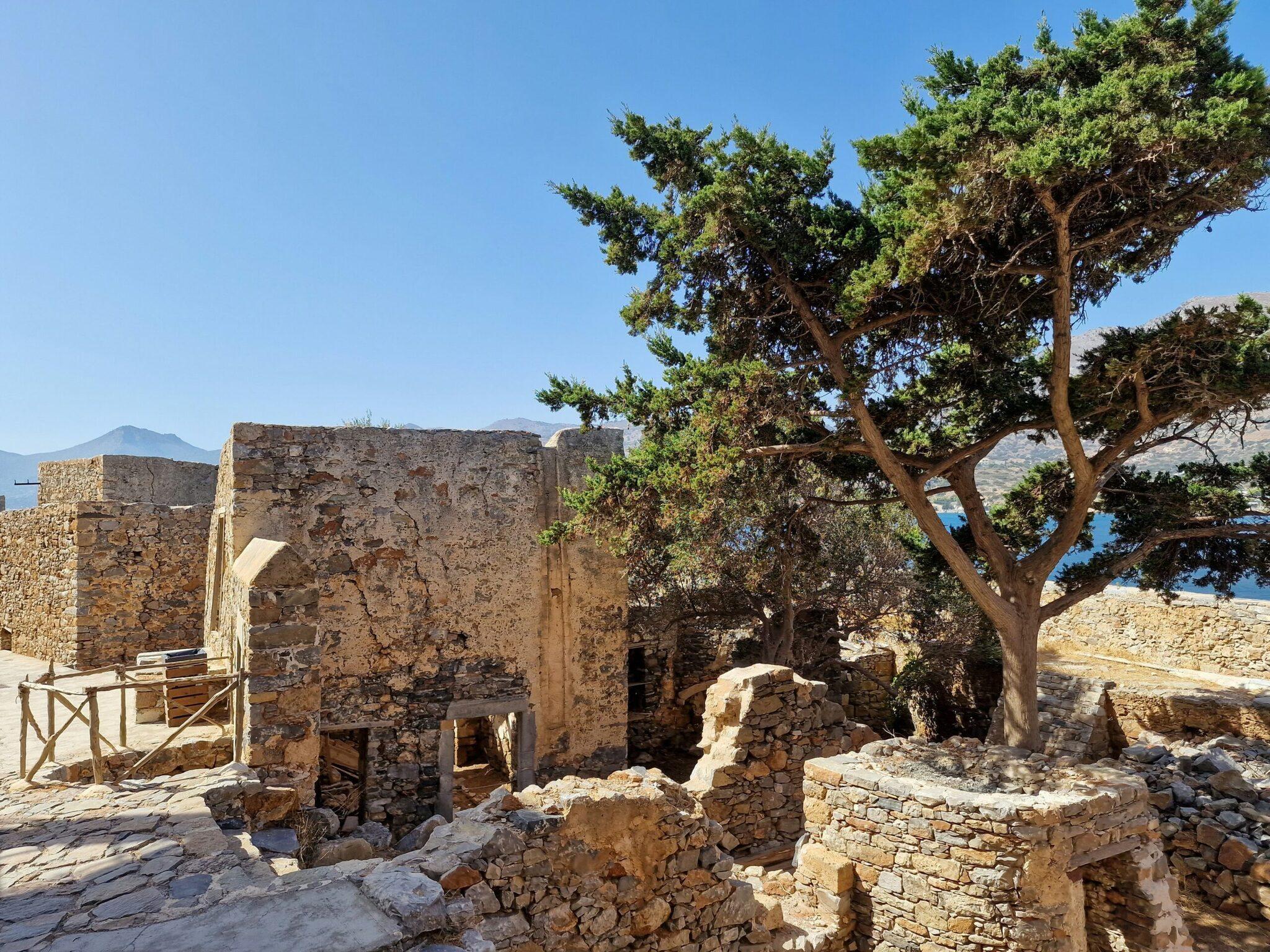 Ruines de pierre avec un grand arbre méditerranéen, mer bleue en arrière-plan, site archéologique côtier