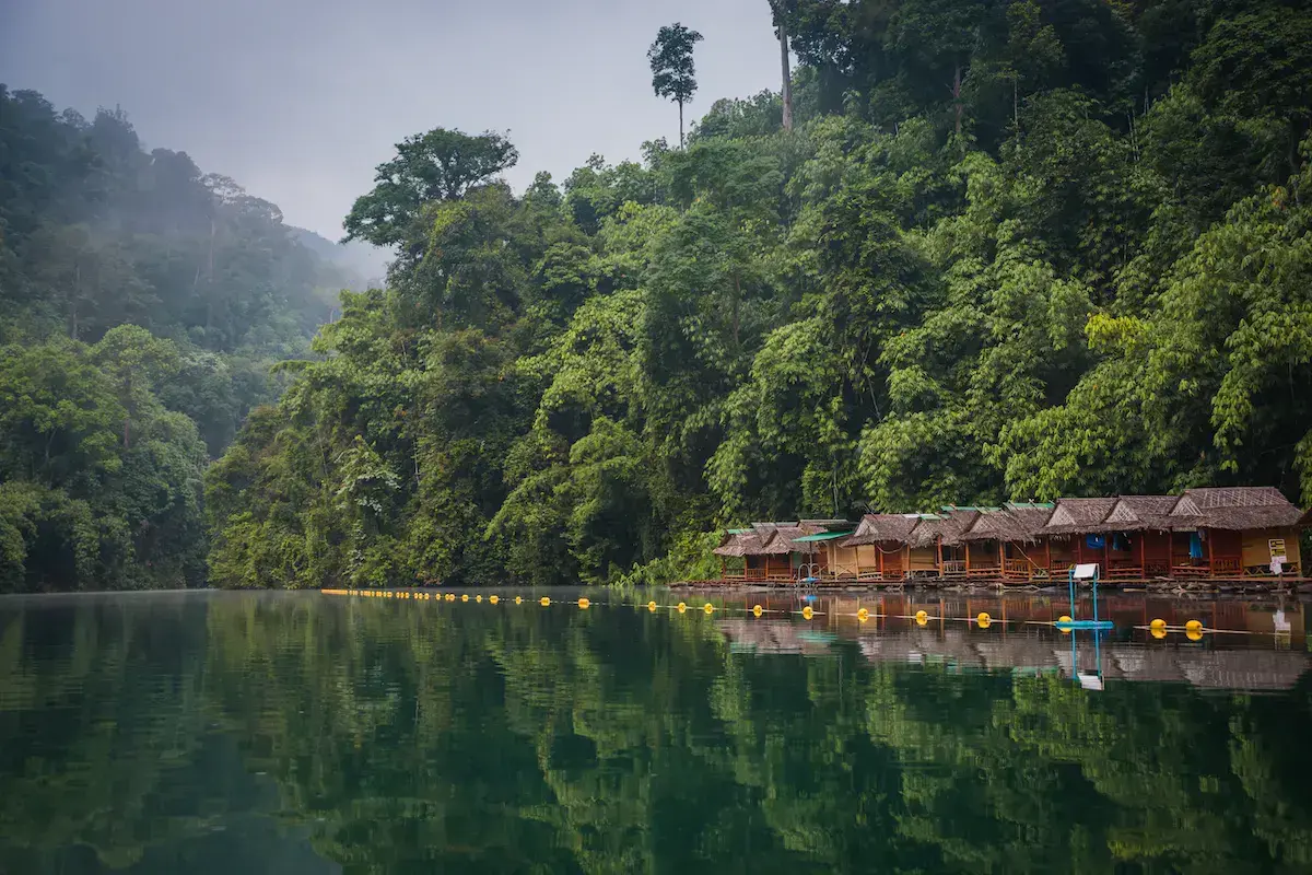 Des bungalows en bois au bord d’un lac calme entouré de forêt tropicale dense et verdoyante
