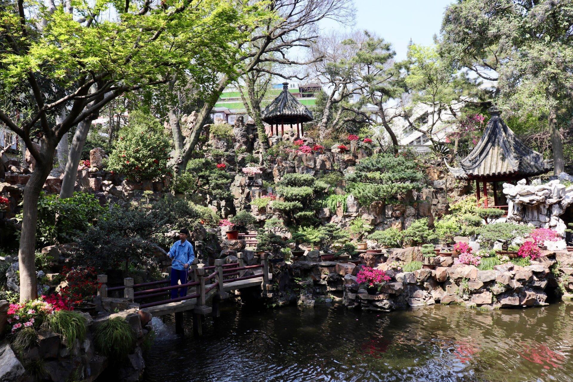 Un jardin asiatique traditionnel avec pagodes, pont en bois, bassin d’eau et fleurs roses sous les arbres