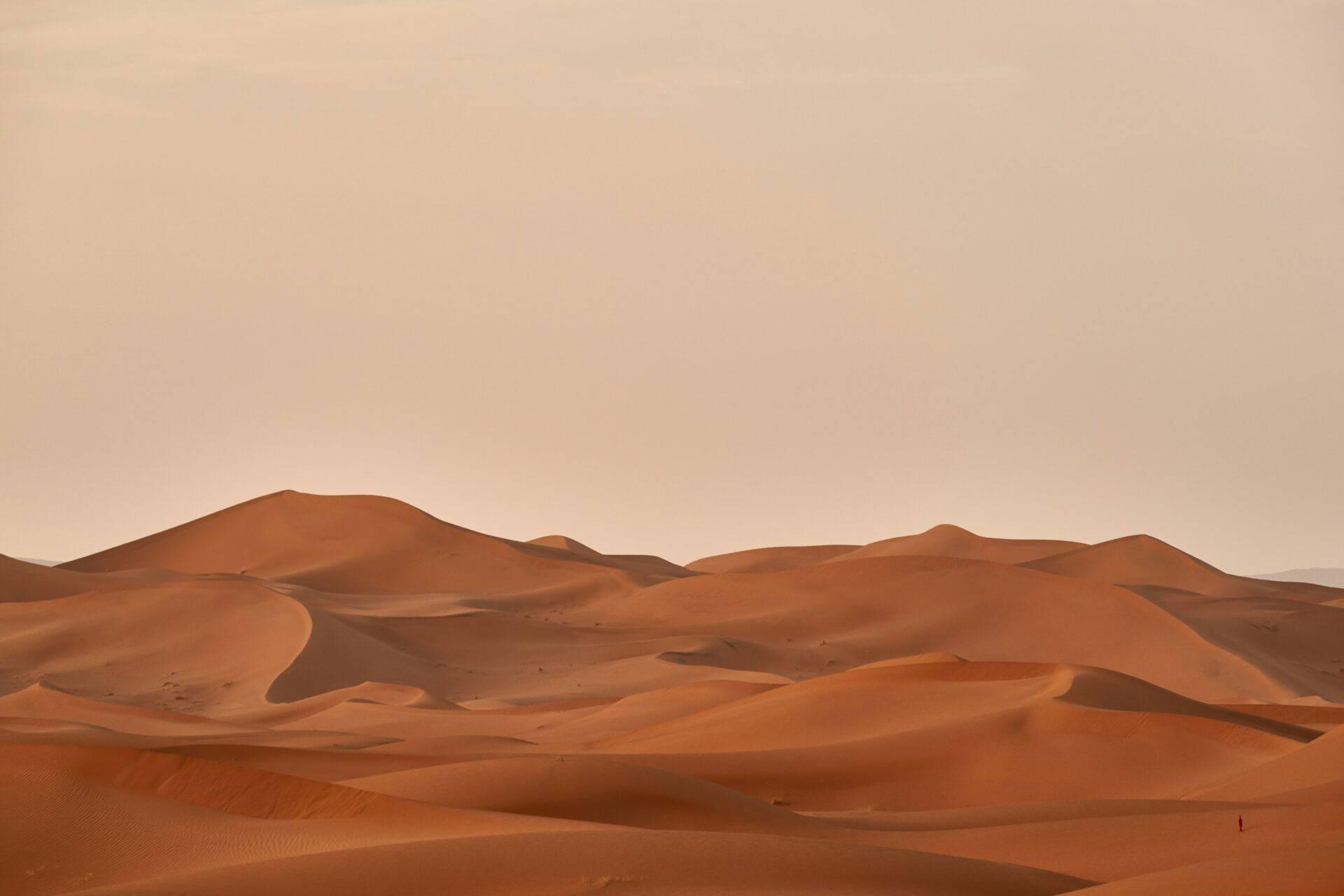Dunes de sable ondulantes d’un désert avec crêtes et ombres sous un ciel dégagé
