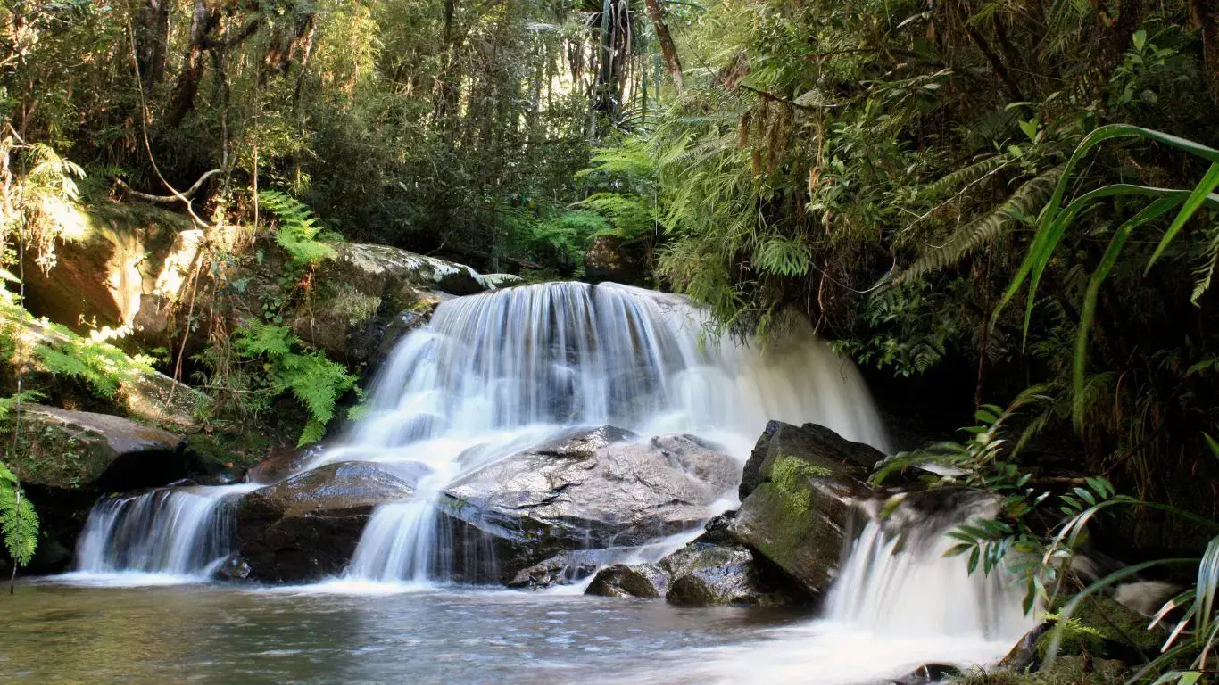 Une cascade en terrasse dans une forêt tropicale luxuriante entourée de roches mousses et de végétation dense