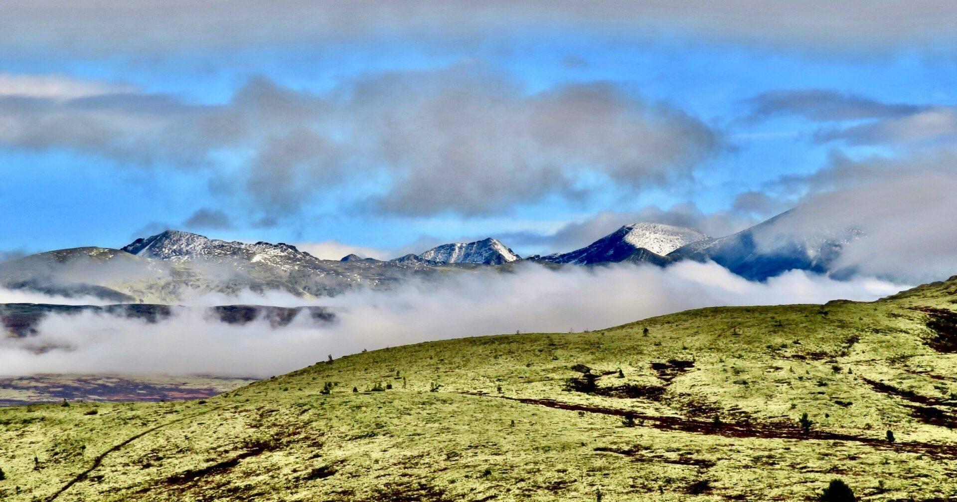 Paysage montagneux enneigé avec vallée couverte de brouillard et végétation alpine verdoyante au premier plan