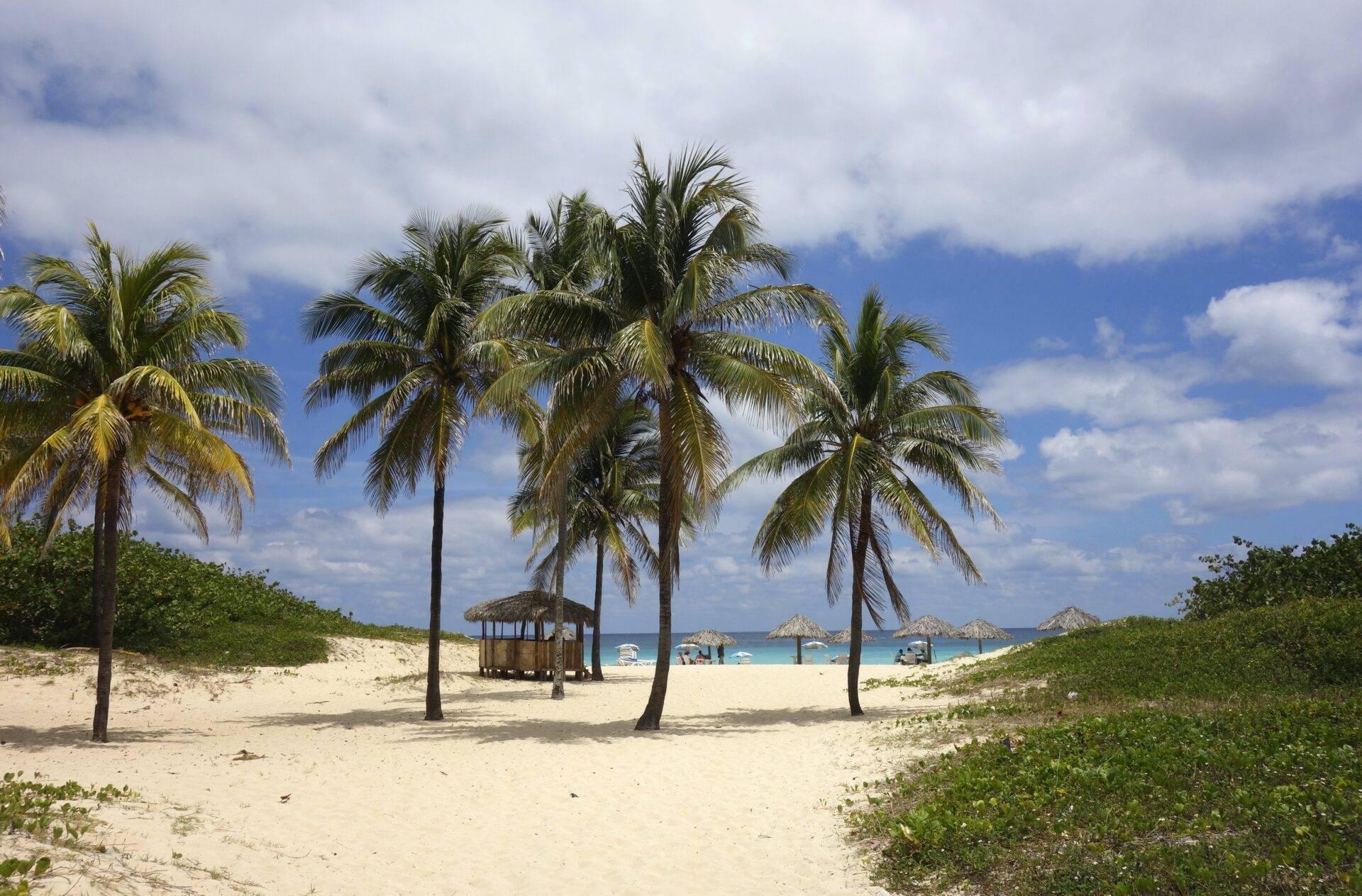 Plage de sable blanc avec palmiers, cabane en bois et parasols de paille face à la mer turquoise