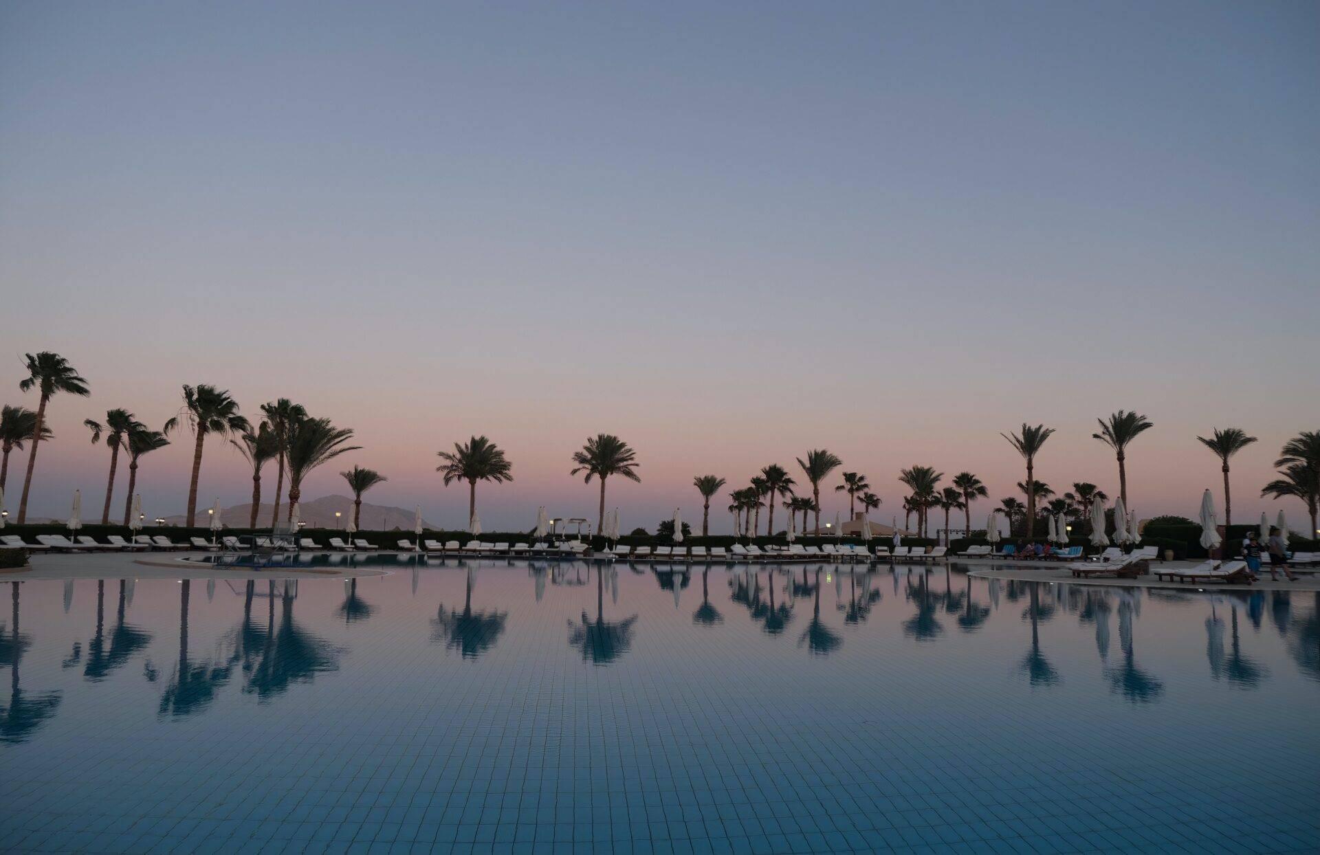 Une piscine luxueuse au coucher du soleil bordée de palmiers et de transats en Égypte