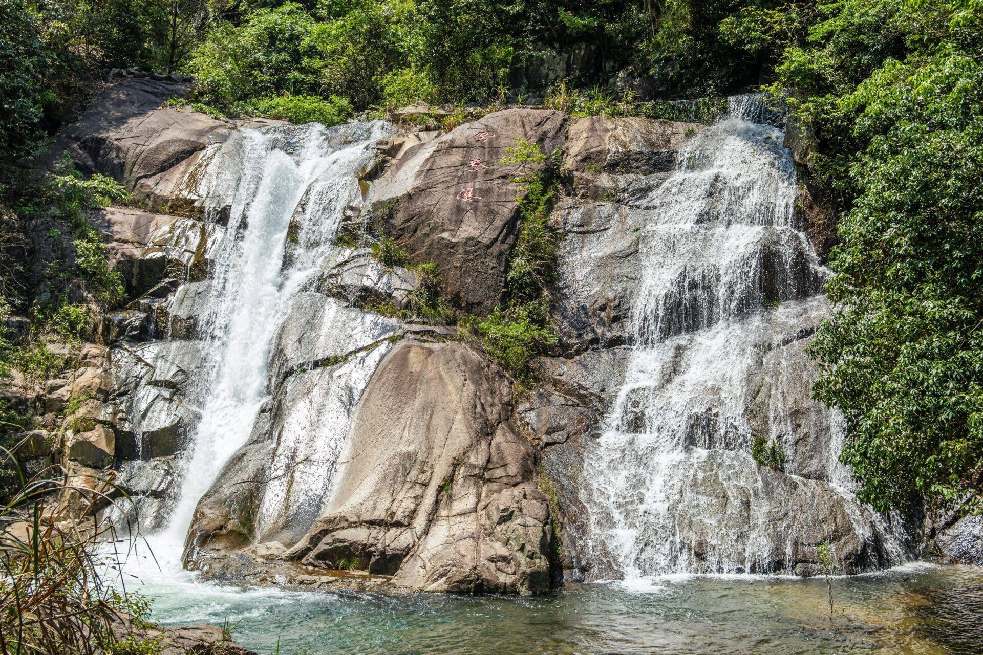 Cascades d’eau cristalline dévalant des rochers couverts de mousse en forêt tropicale dense