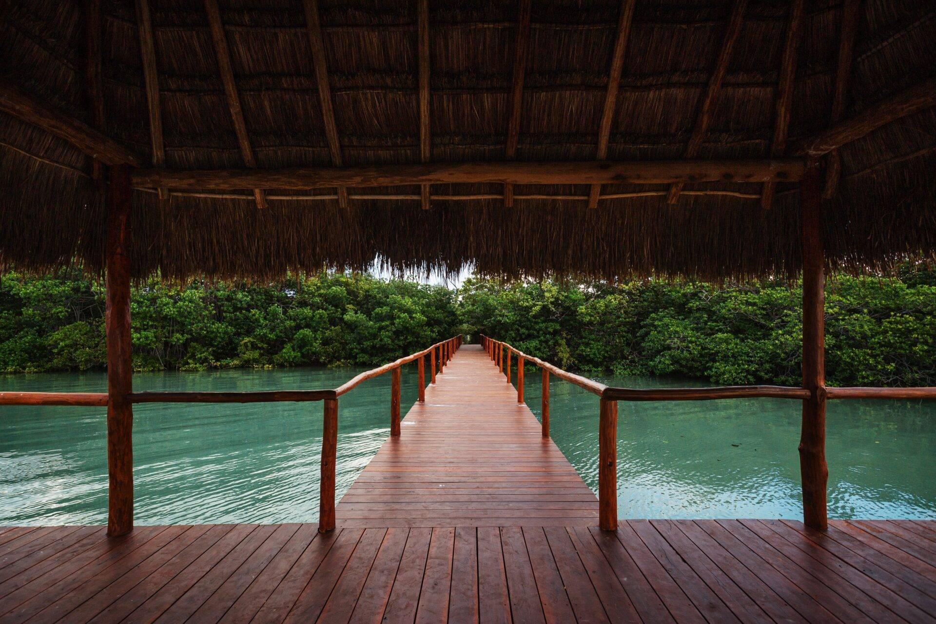 Une passerelle en bois sous un auvent de chaume surplombe une lagune turquoise bordée de mangroves verdoyantes