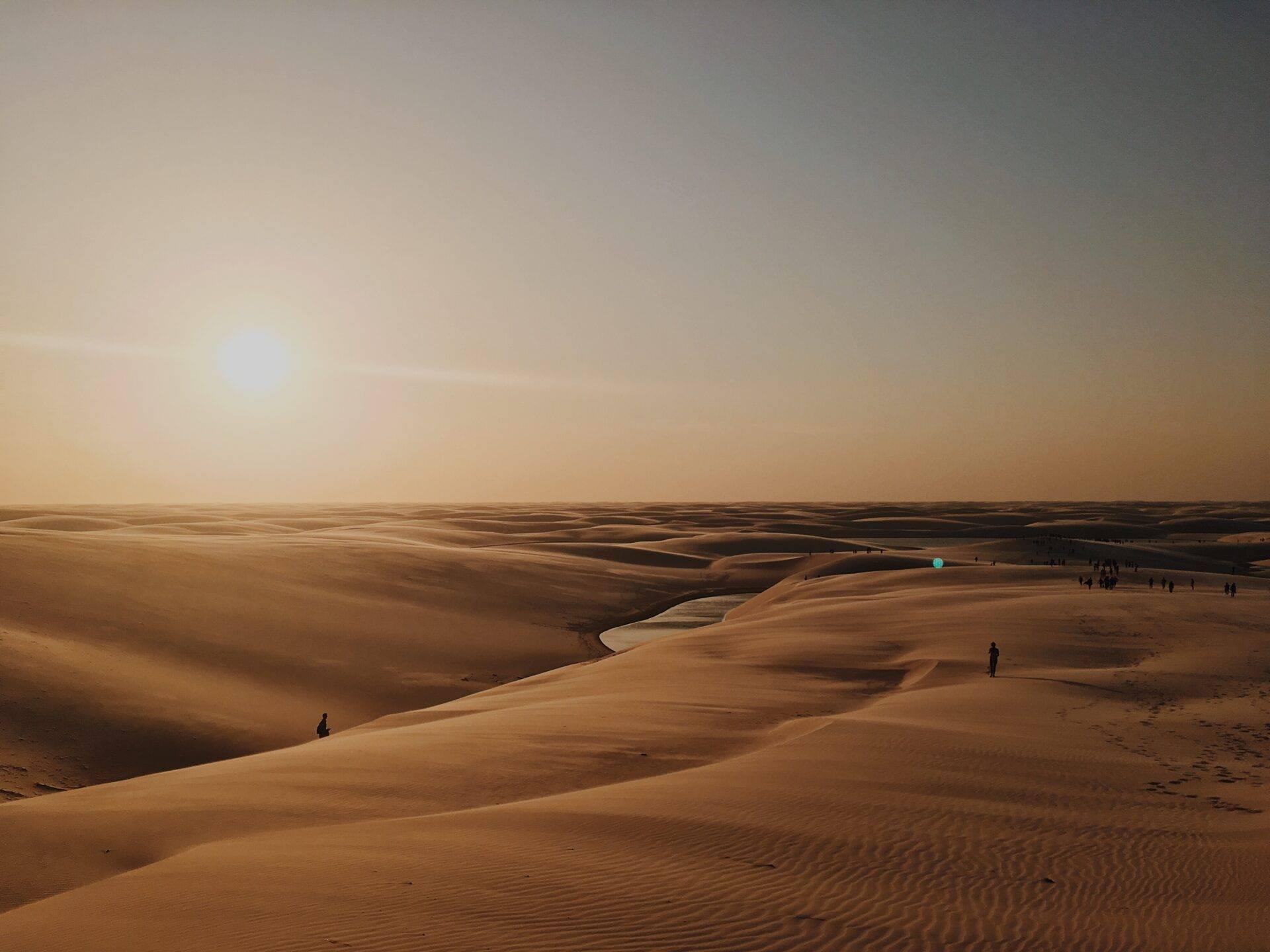 Vast desert landscape with golden sand dunes and a few solitary travelers exploring the arid terrain under hazy sky