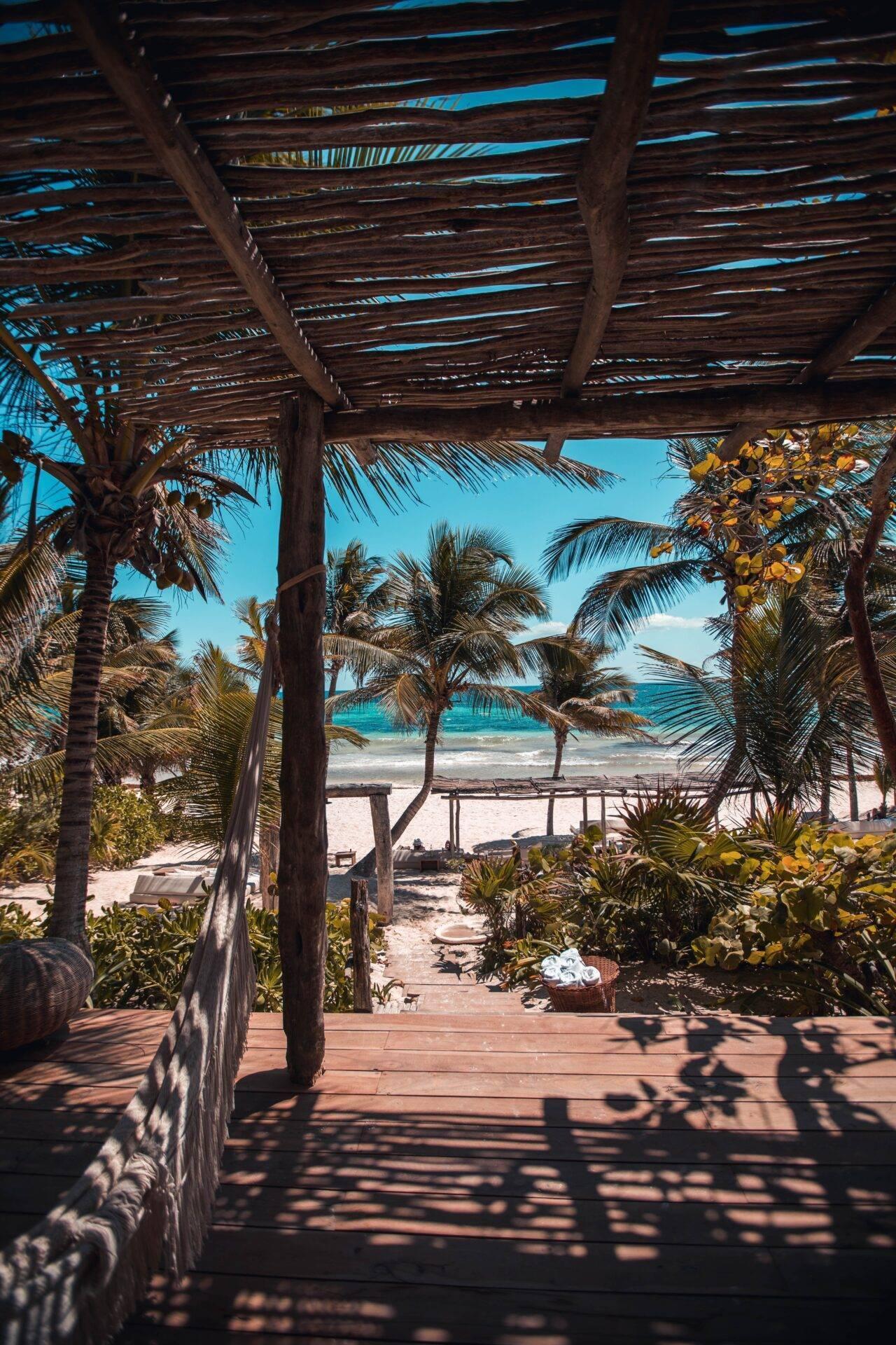 Vue depuis une terrasse en bois couverte sur une plage tropicale avec palmiers et océan turquoise